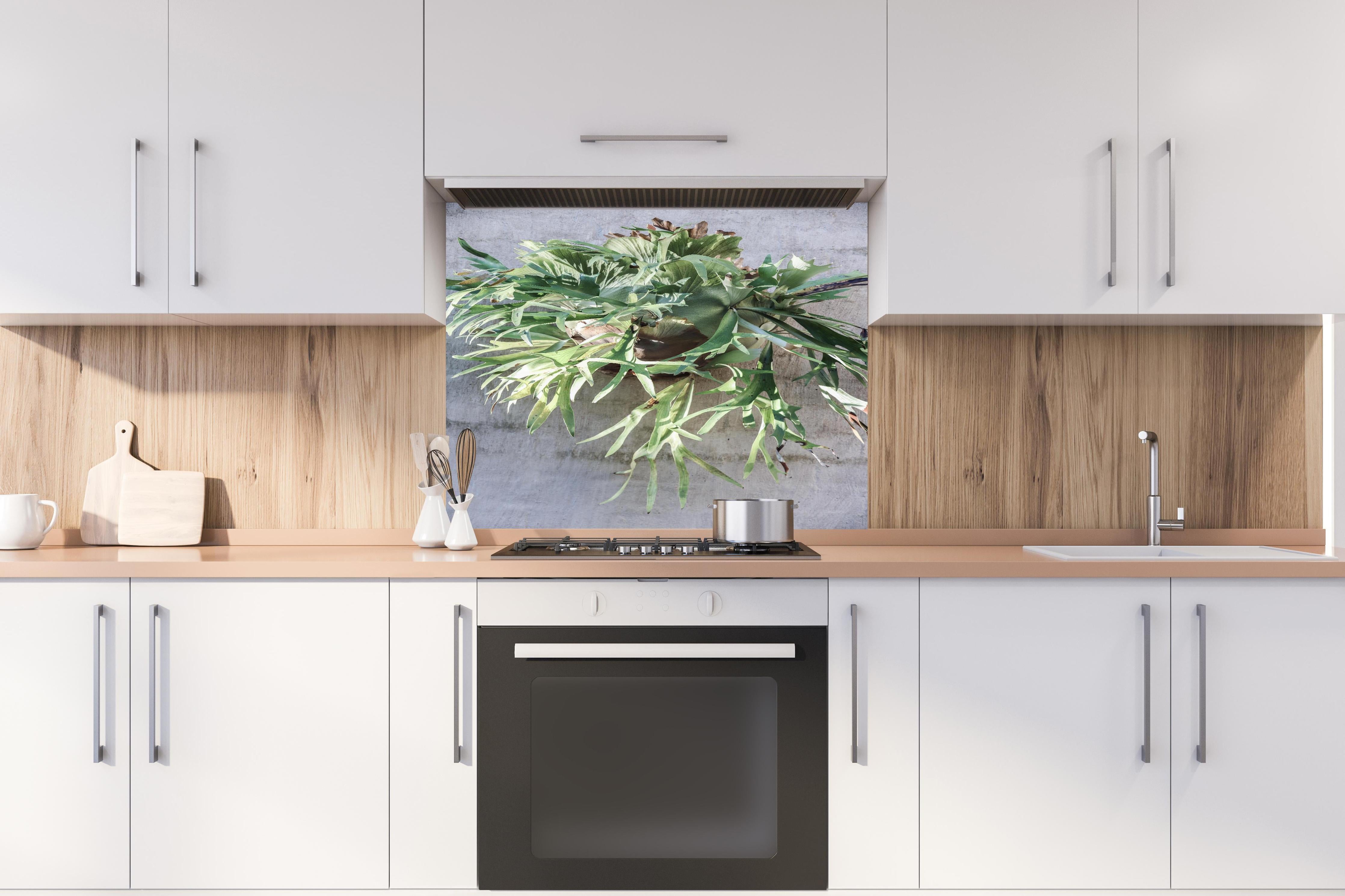 Spritzschutz - Lebendiges Takbok Pflanzen Stillleben hinter einem Cerankochfeld zwischen Holz-Kochutensilien