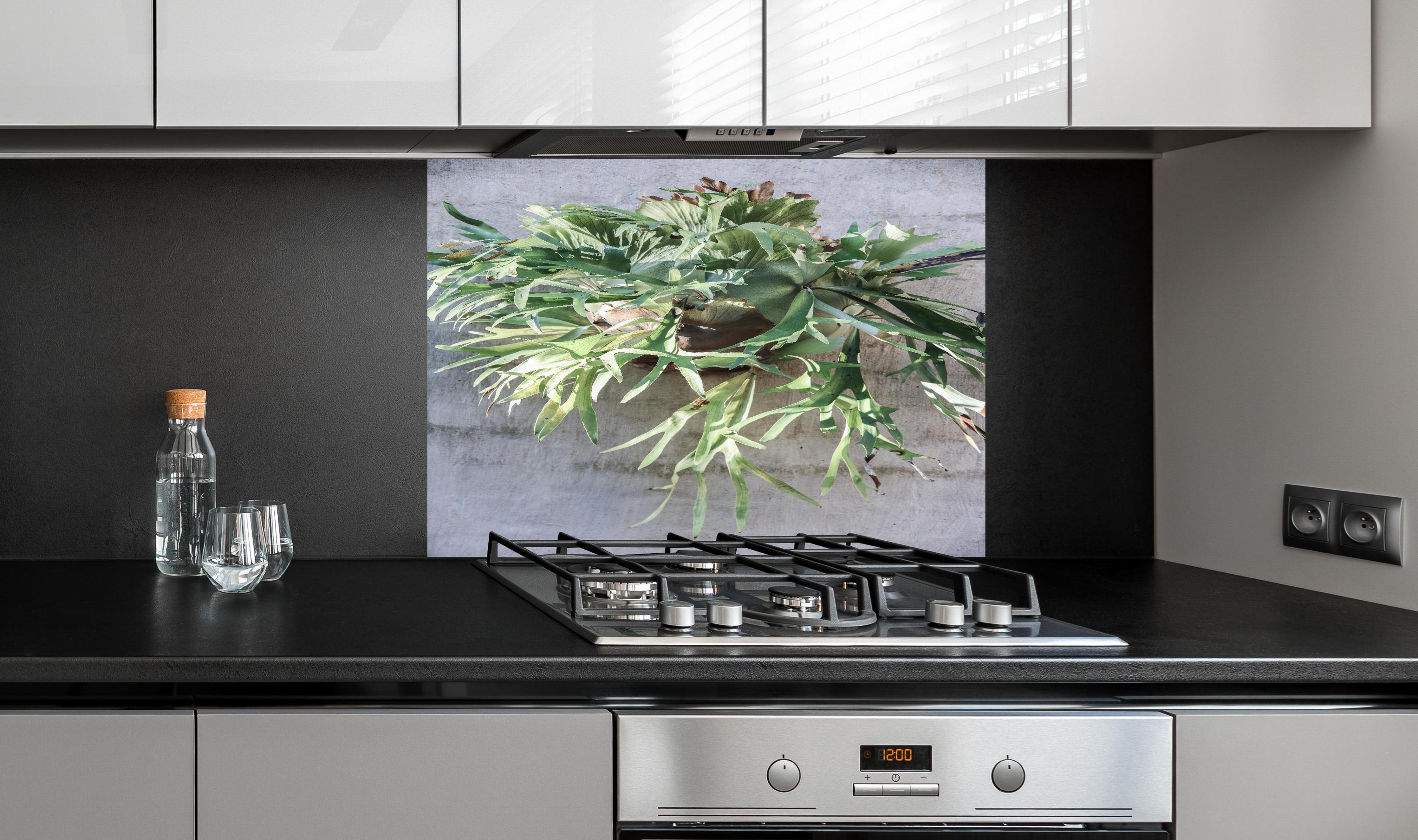 Spritzschutz - Lebendiges Takbok Pflanzen Stillleben hinter einem Cerankochfeld zwischen Holz-Kochutensilien