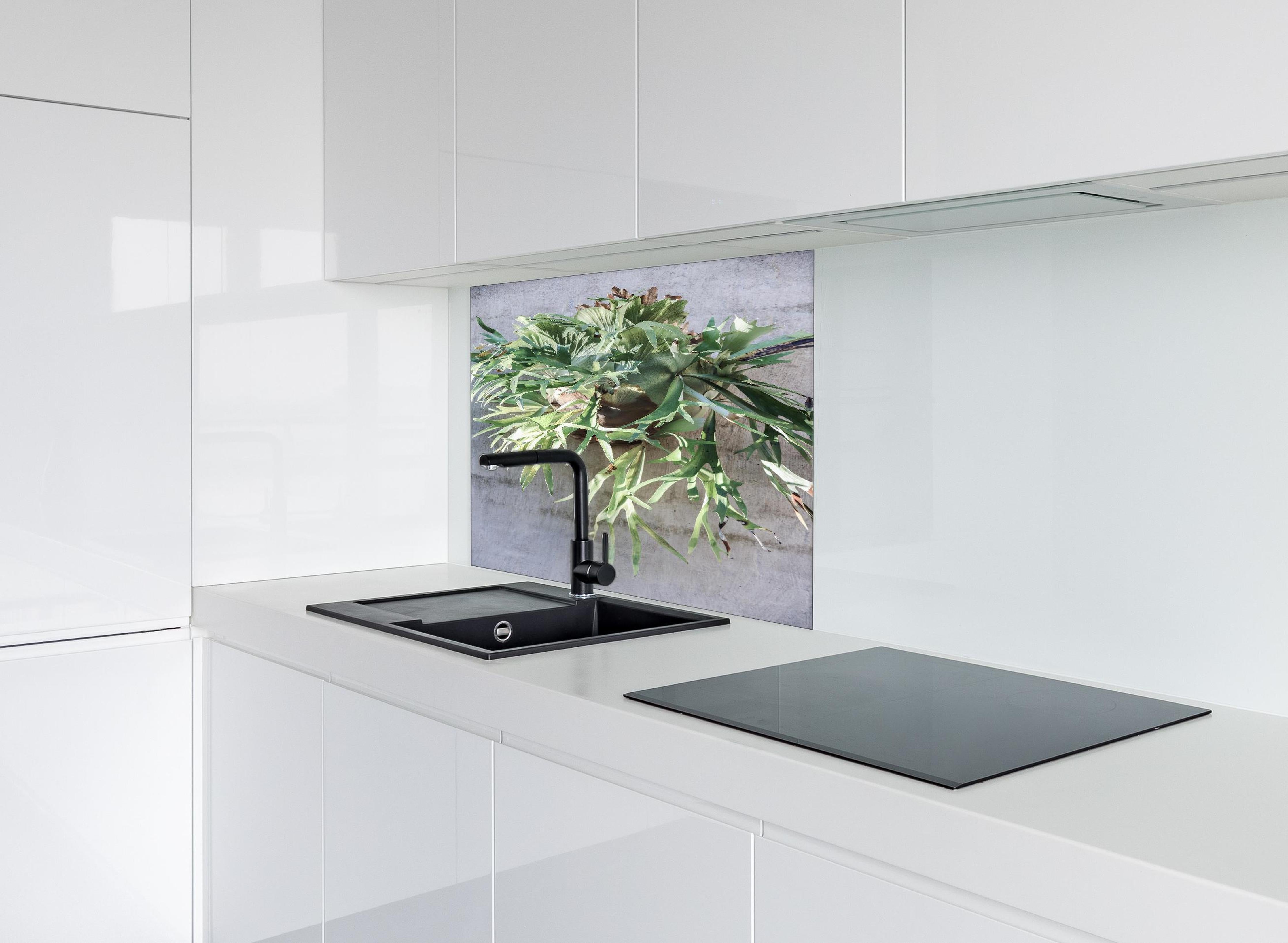 Spritzschutz - Lebendiges Takbok Pflanzen Stillleben hinter einem Cerankochfeld zwischen Holz-Kochutensilien