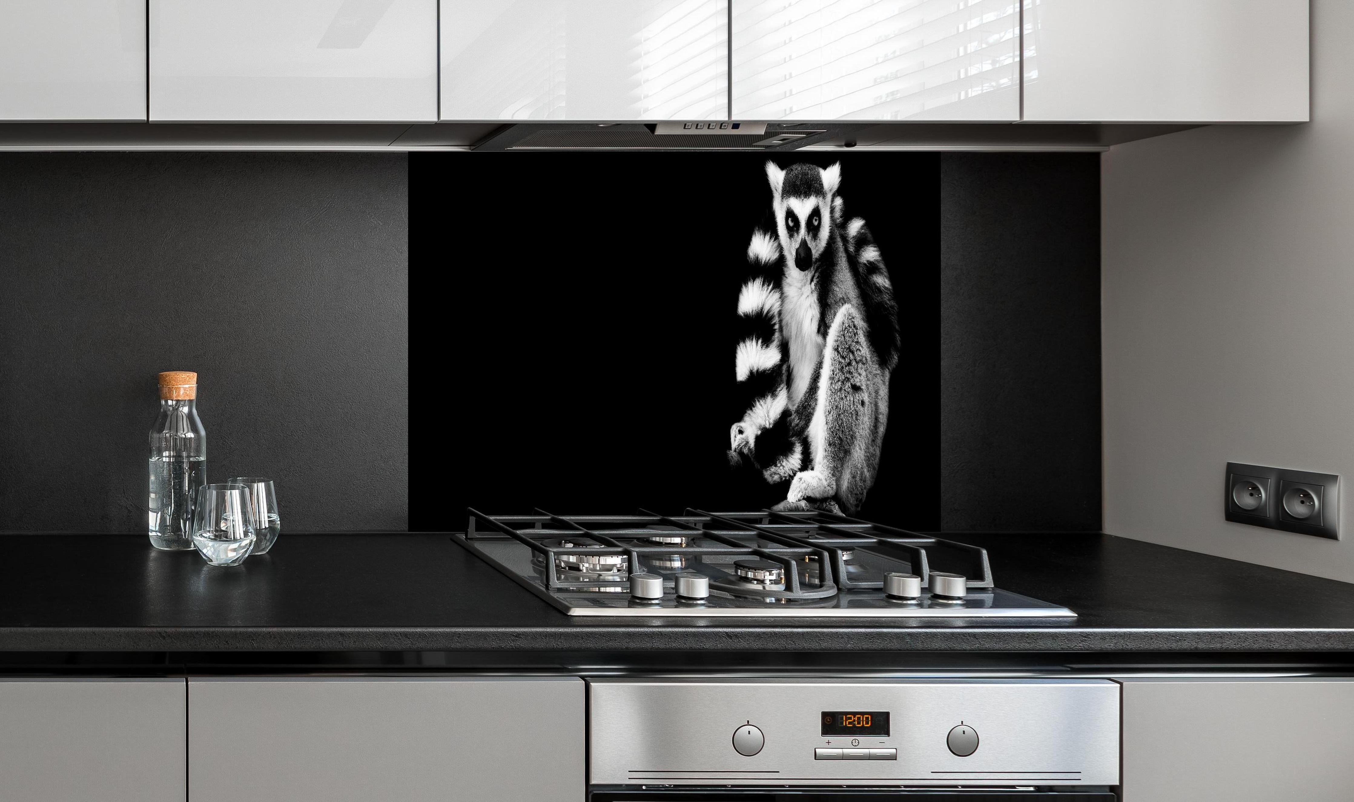 Spritzschutz - Lemur auf schwarzem Hintergrund hinter einem Cerankochfeld zwischen Holz-Kochutensilien