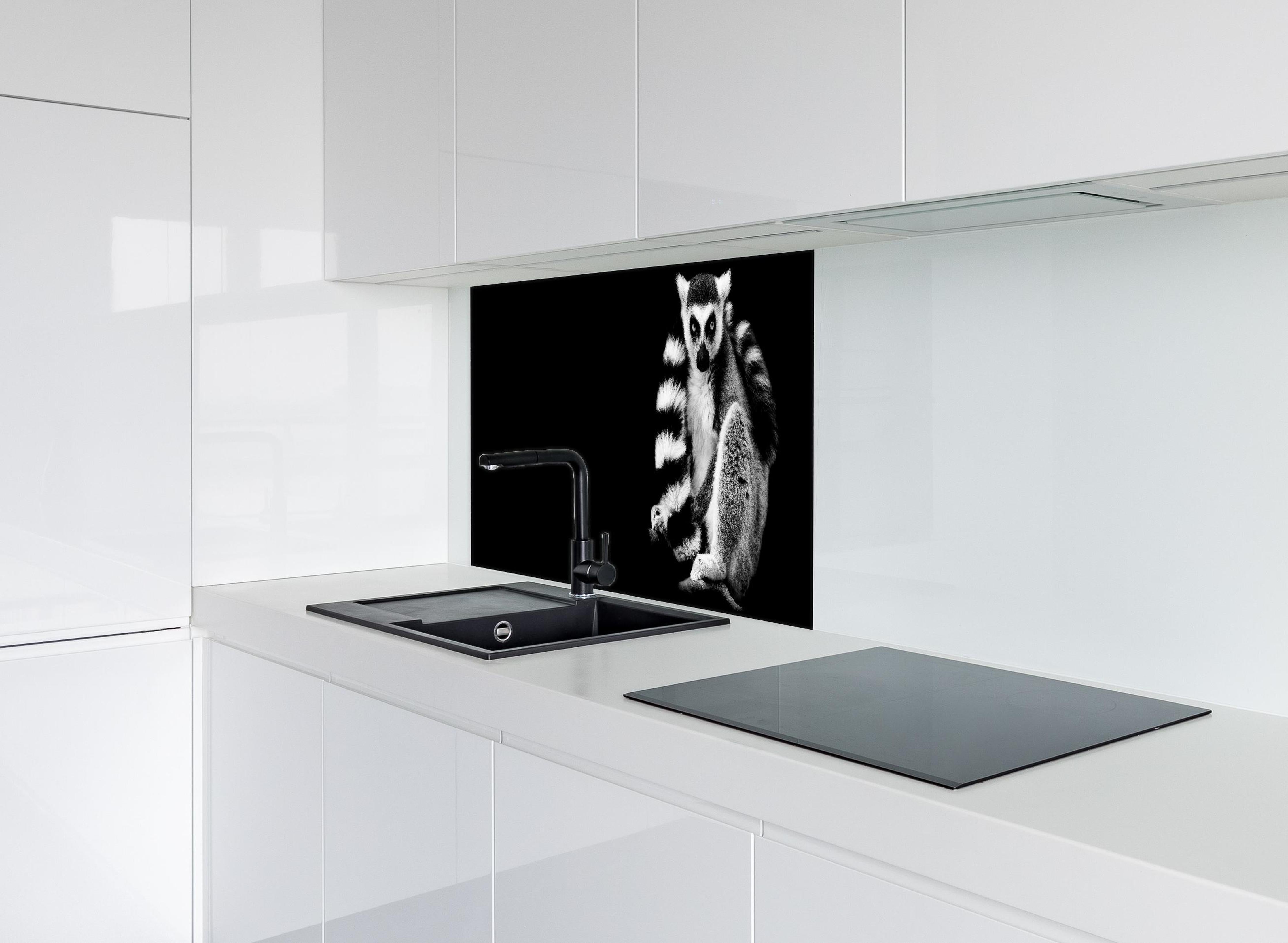 Spritzschutz - Lemur auf schwarzem Hintergrund hinter einem Cerankochfeld zwischen Holz-Kochutensilien