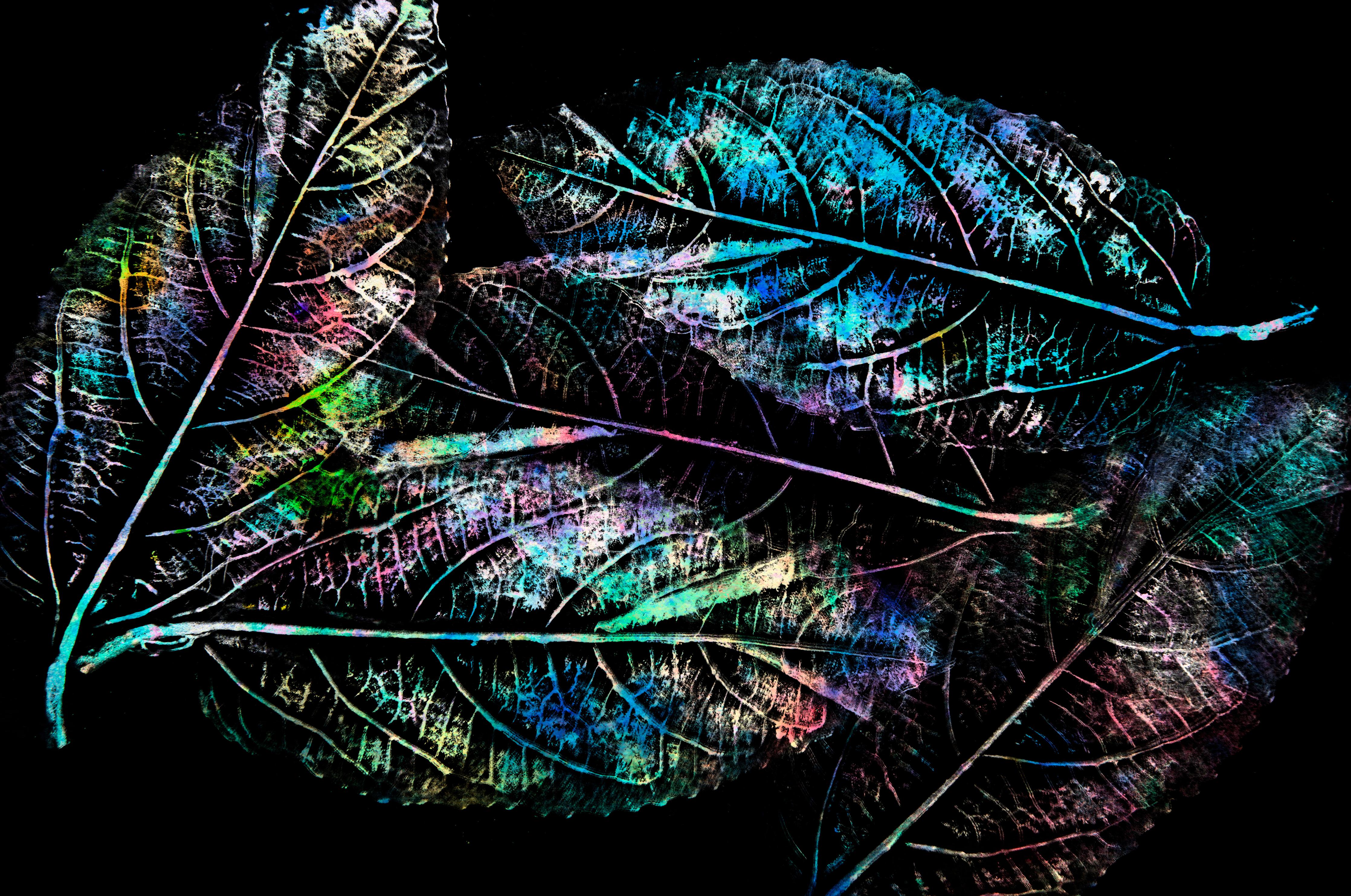 Spritzschutz-Leuchtende Blattadern Bunt auf Schwarz