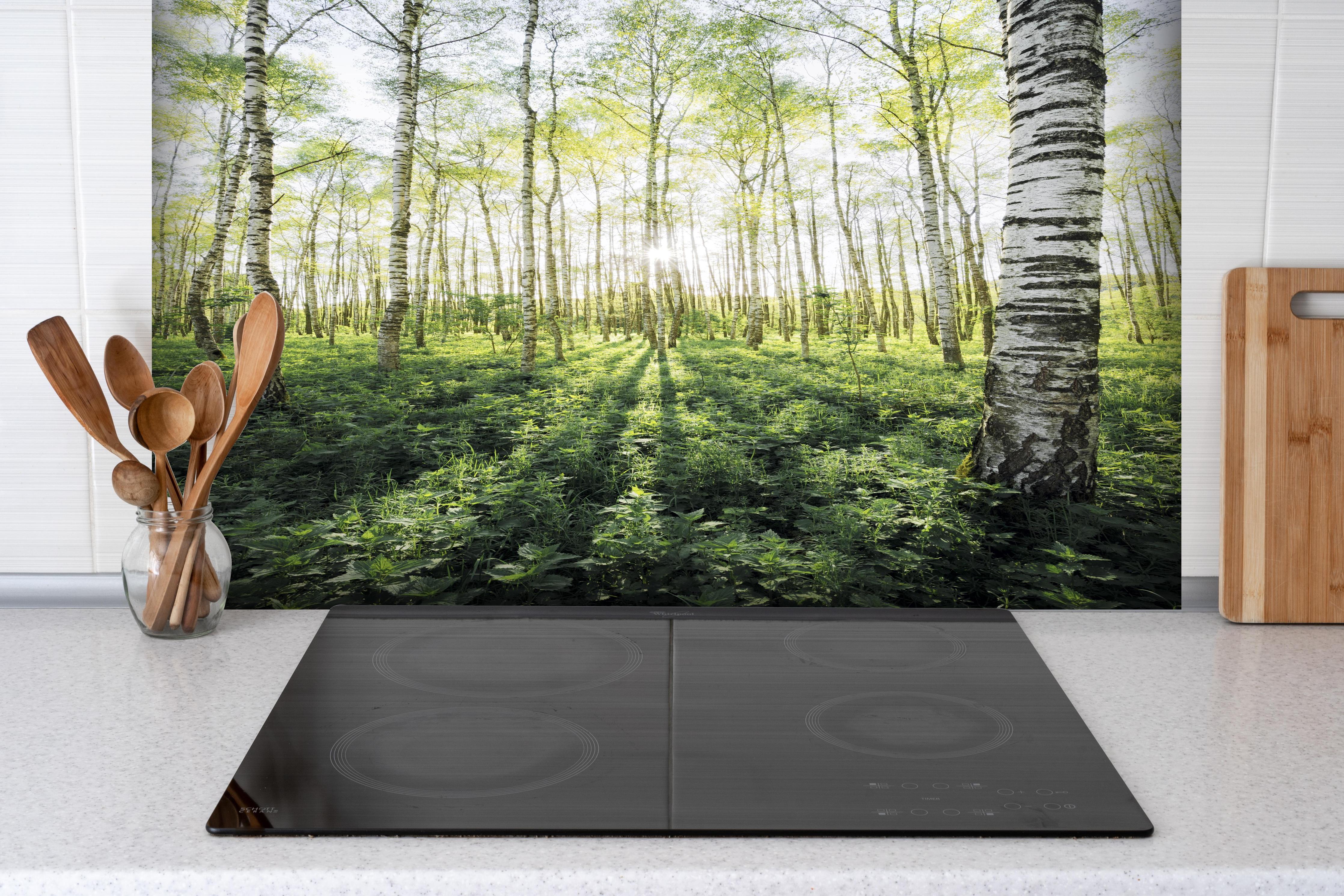 Spritzschutz - Lichtdurchfluteter Birkenwald im Frühling hinter einem Cerankochfeld zwischen Holz-Kochutensilien