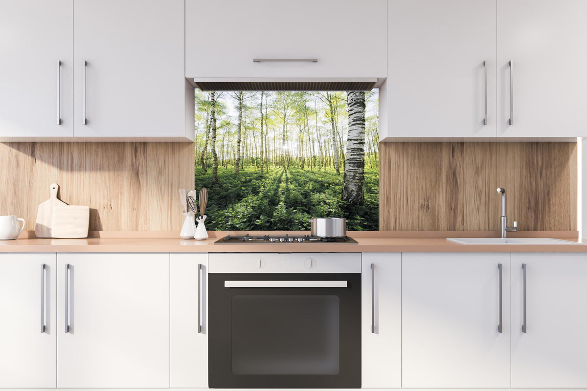 Spritzschutz - Lichtdurchfluteter Birkenwald im Frühling hinter einem Cerankochfeld zwischen Holz-Kochutensilien