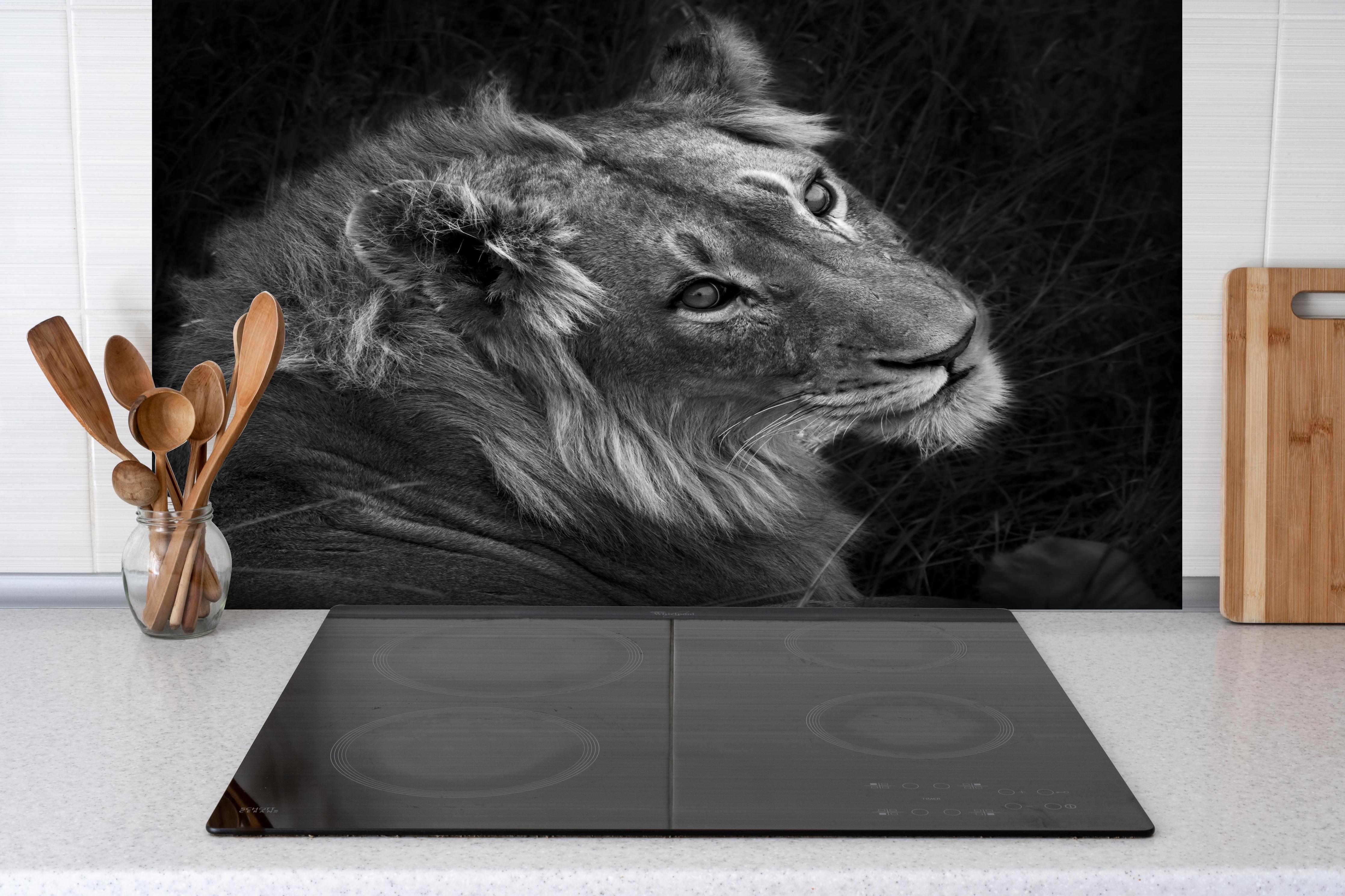 Spritzschutz - Löwen Portrait - Schwarz-weiß hinter einem Cerankochfeld zwischen Holz-Kochutensilien
