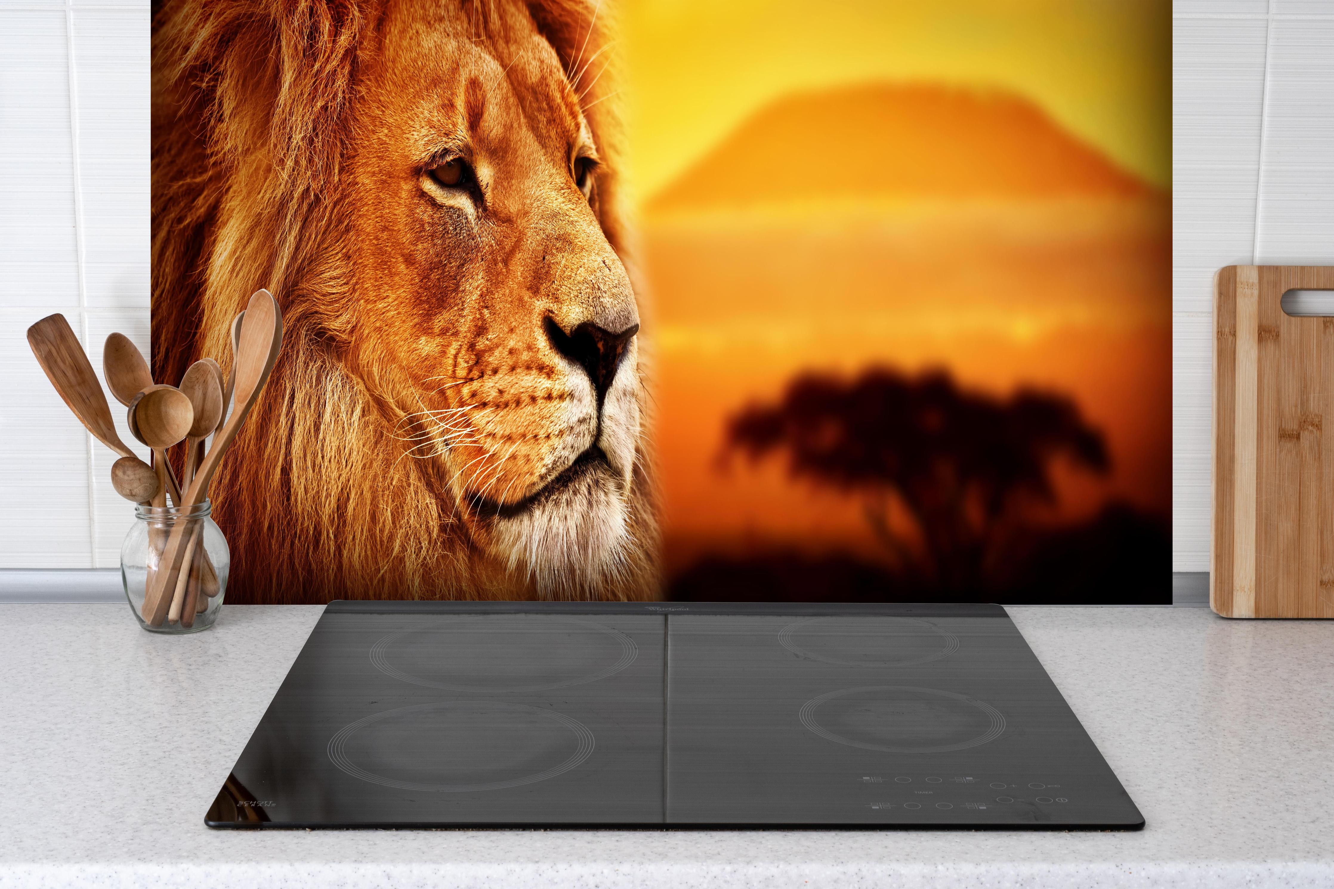 Spritzschutz - Löwenporträt in der Savanne hinter einem Cerankochfeld zwischen Holz-Kochutensilien