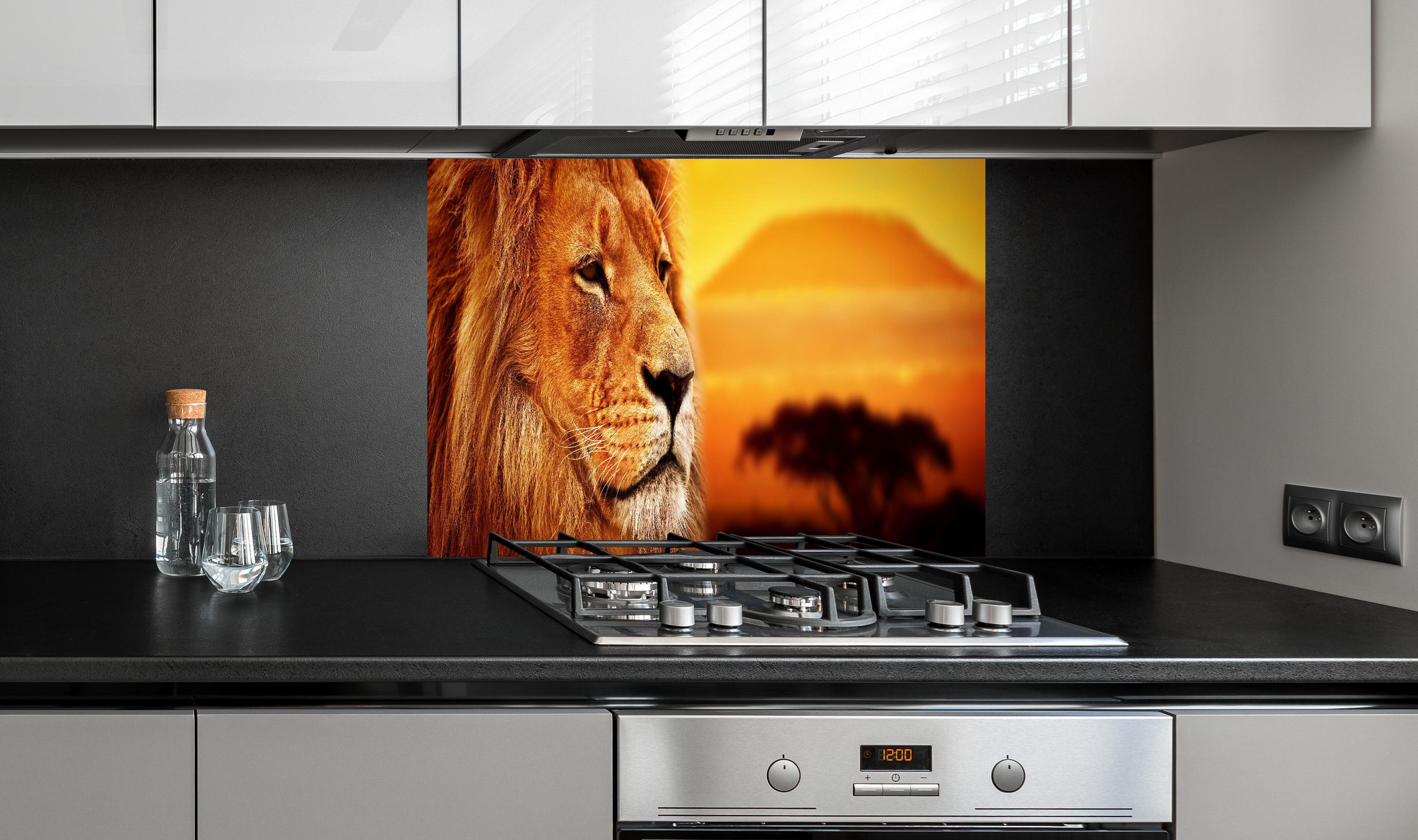 Spritzschutz - Löwenporträt in der Savanne hinter einem Cerankochfeld zwischen Holz-Kochutensilien