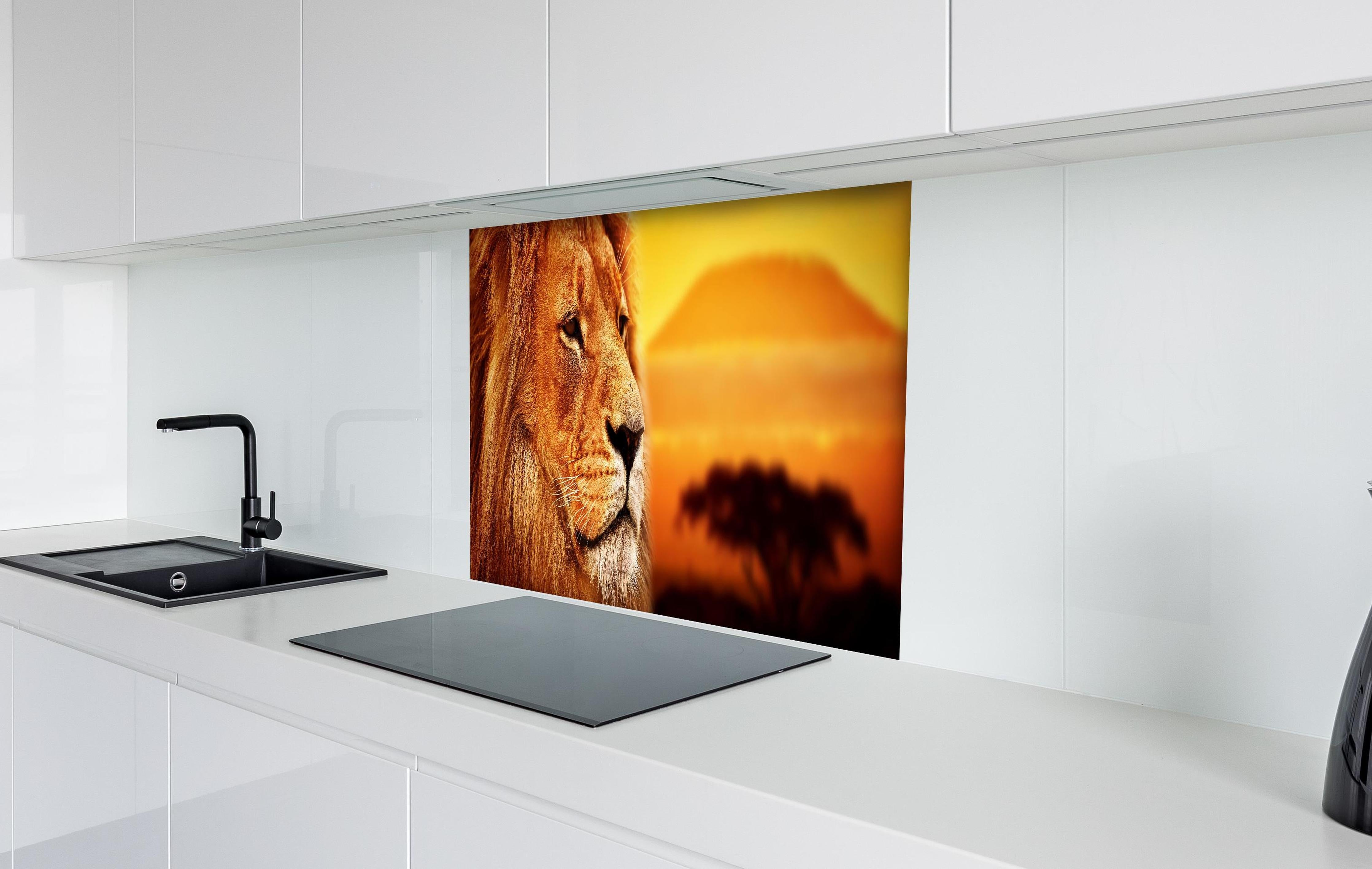 Spritzschutz - Löwenporträt in der Savanne hinter einem Cerankochfeld zwischen Holz-Kochutensilien