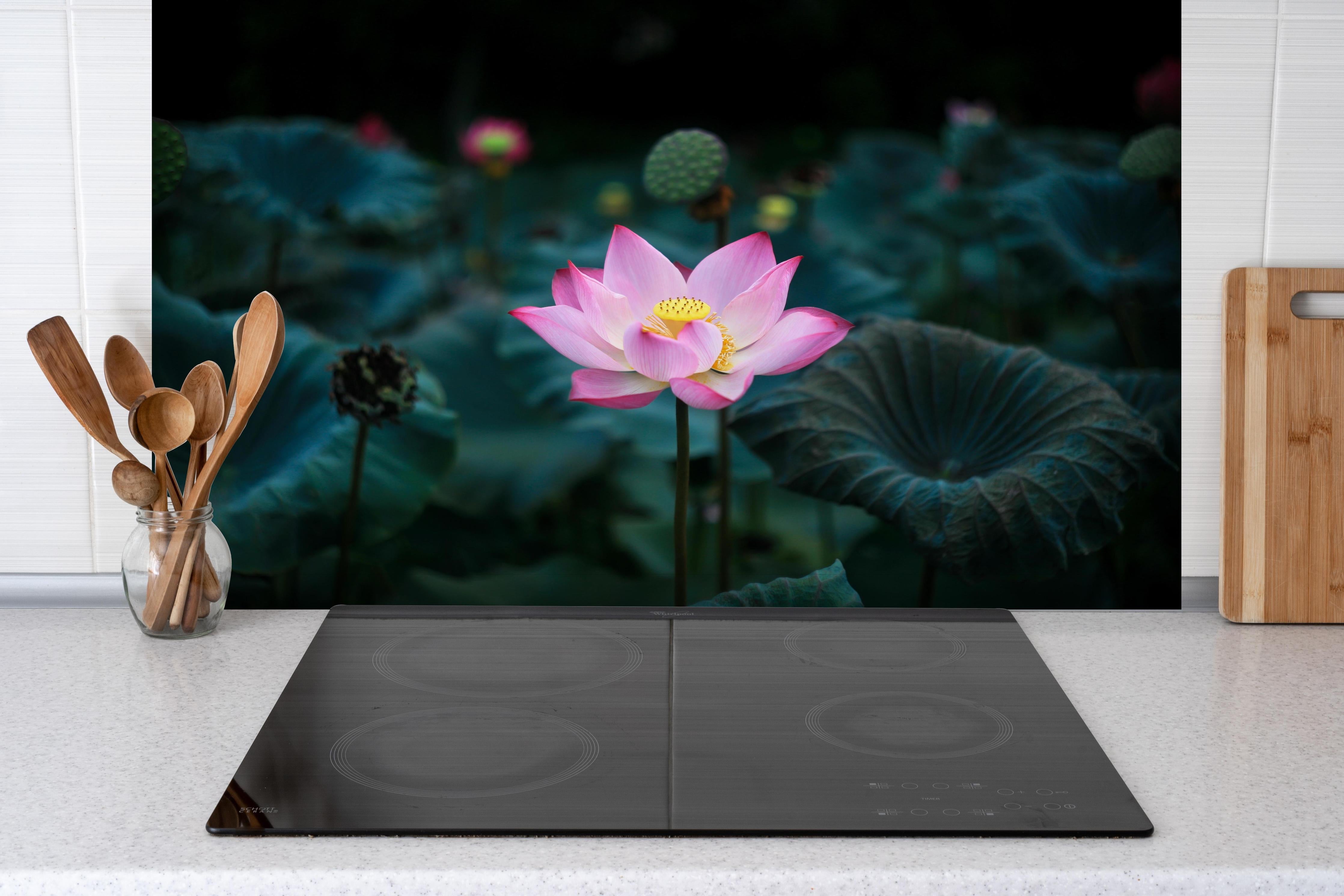 Spritzschutz - Lotosblume im Garten hinter einem Cerankochfeld zwischen Holz-Kochutensilien