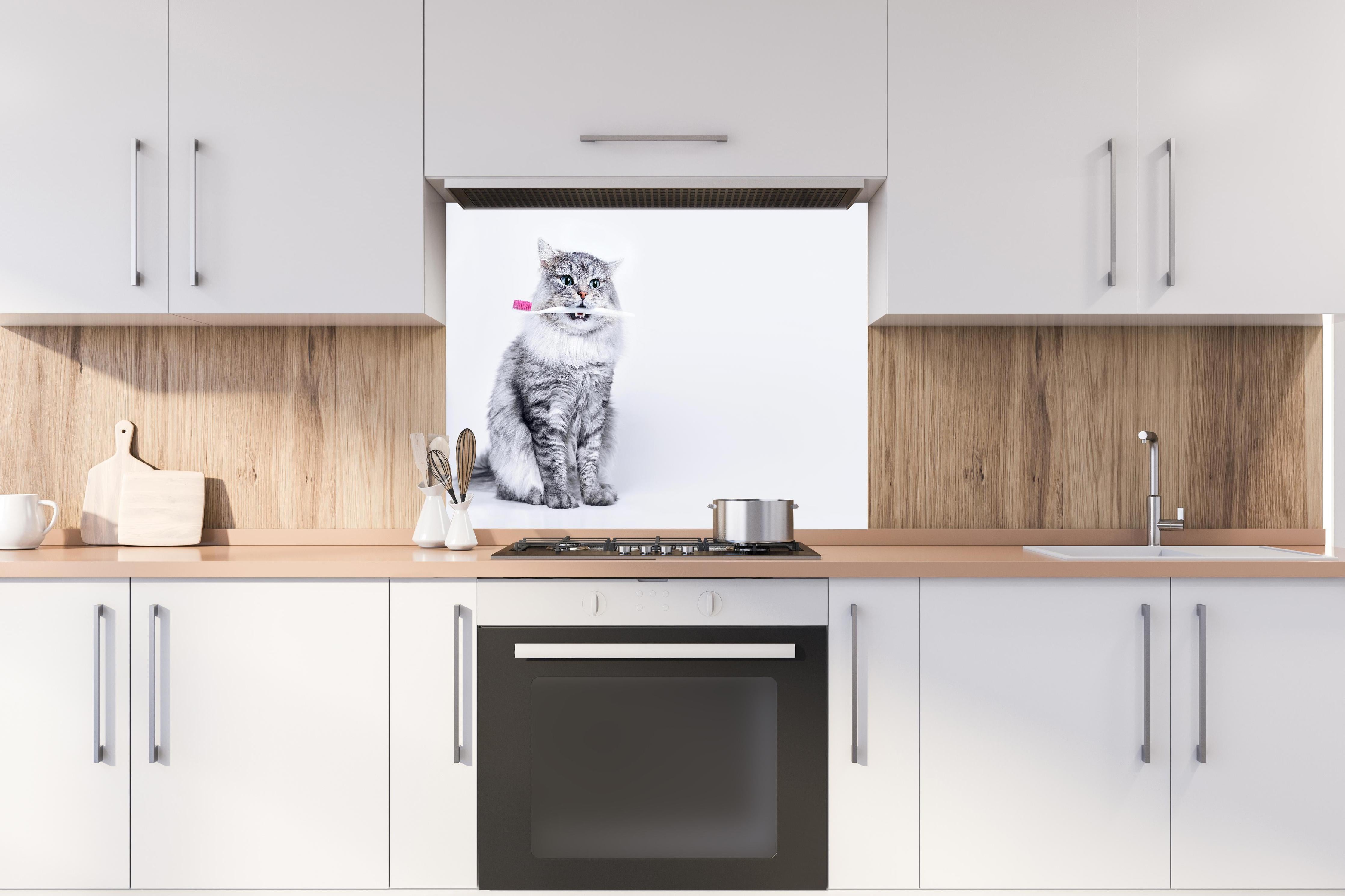 Spritzschutz - Lustige Katze mit Zahnbürste hinter einem Cerankochfeld zwischen Holz-Kochutensilien