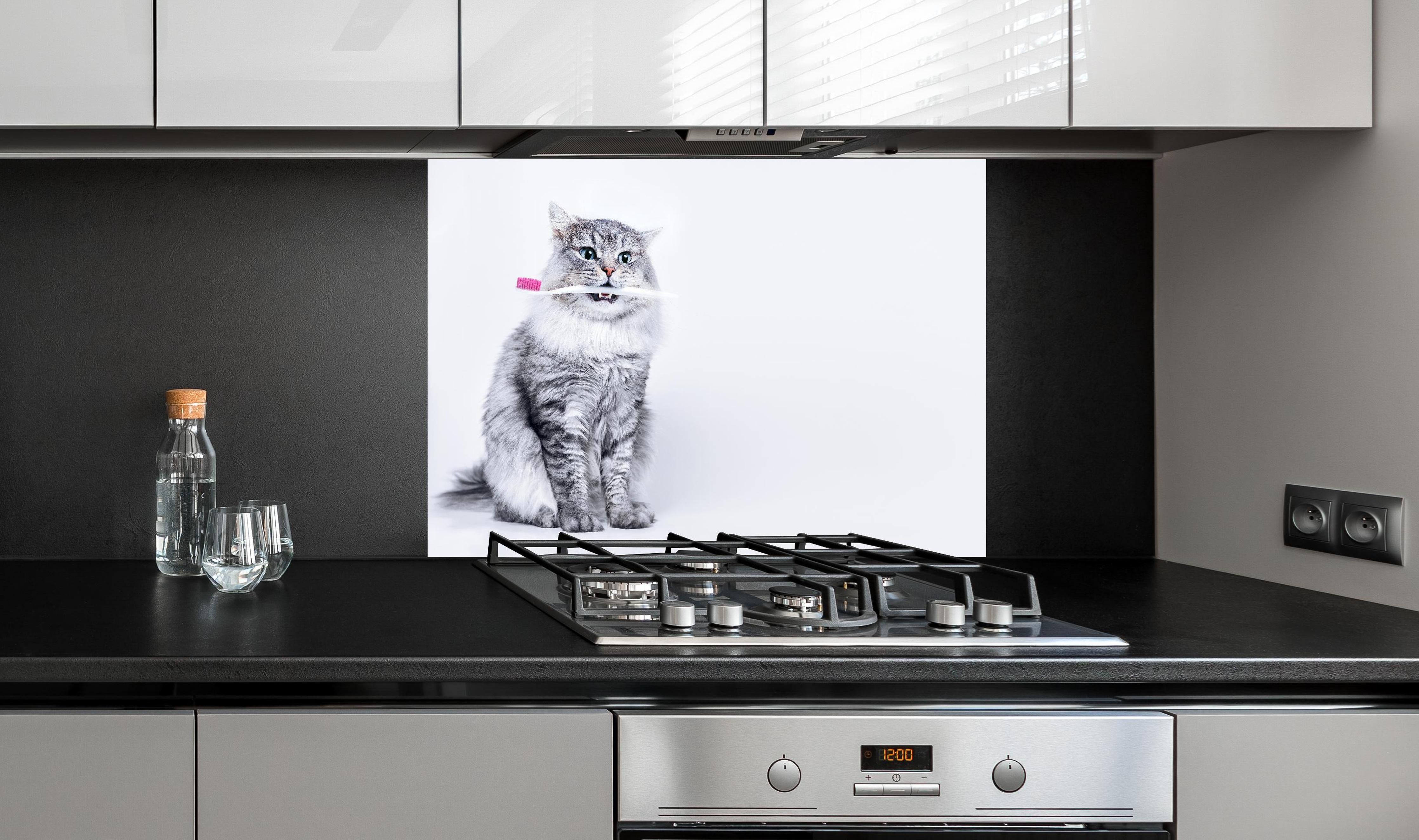 Spritzschutz - Lustige Katze mit Zahnbürste hinter einem Cerankochfeld zwischen Holz-Kochutensilien