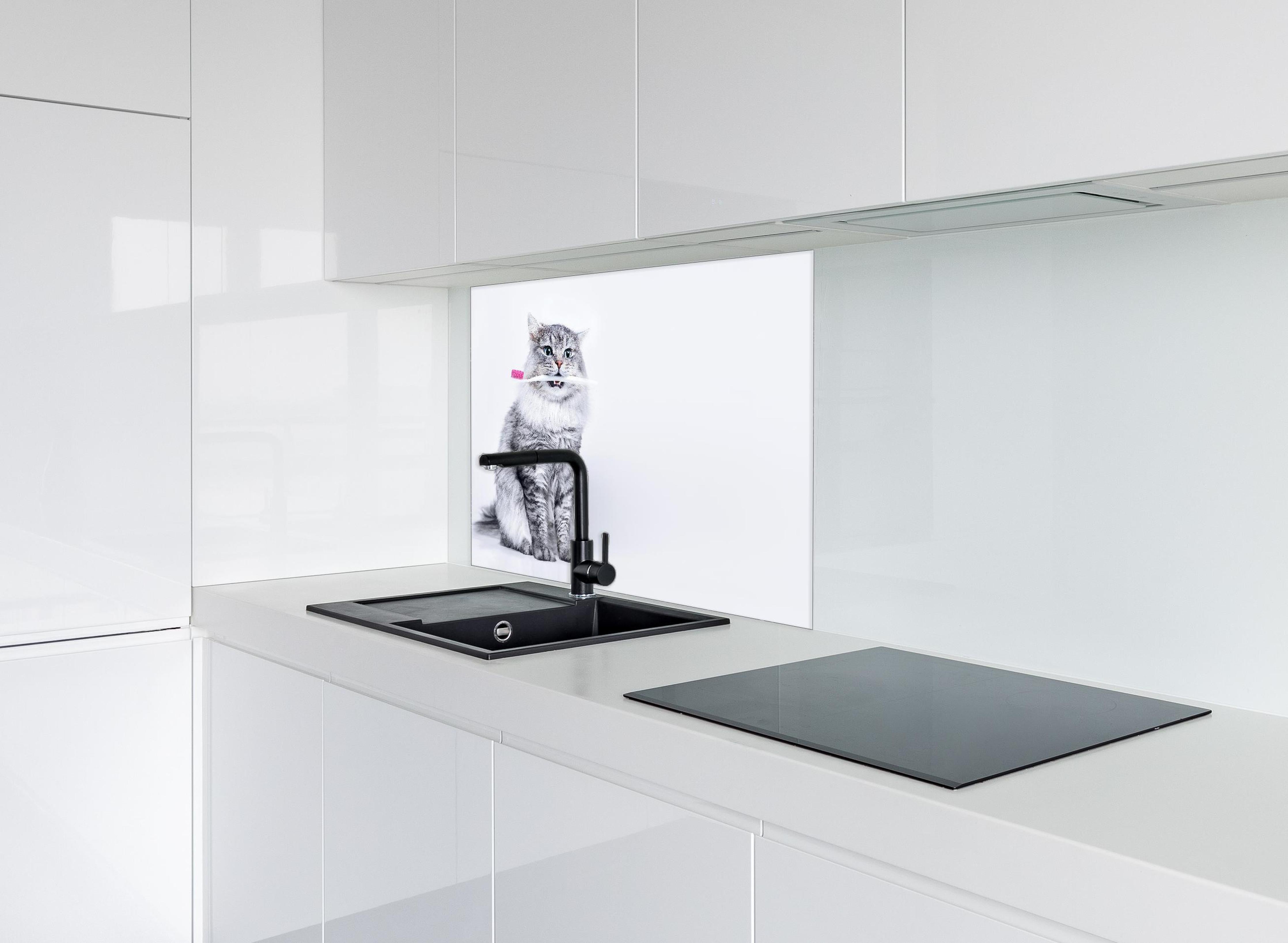 Spritzschutz - Lustige Katze mit Zahnbürste hinter einem Cerankochfeld zwischen Holz-Kochutensilien