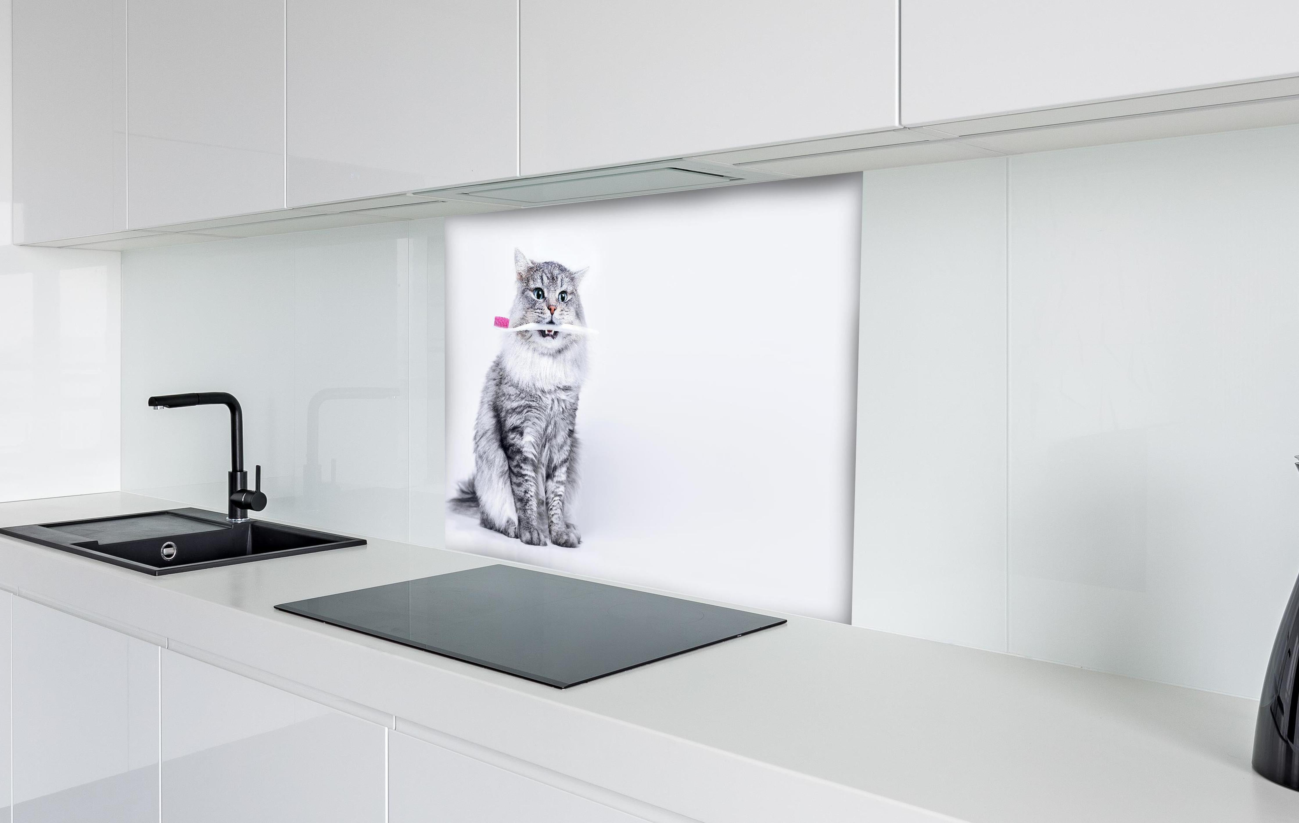 Spritzschutz - Lustige Katze mit Zahnbürste hinter einem Cerankochfeld zwischen Holz-Kochutensilien