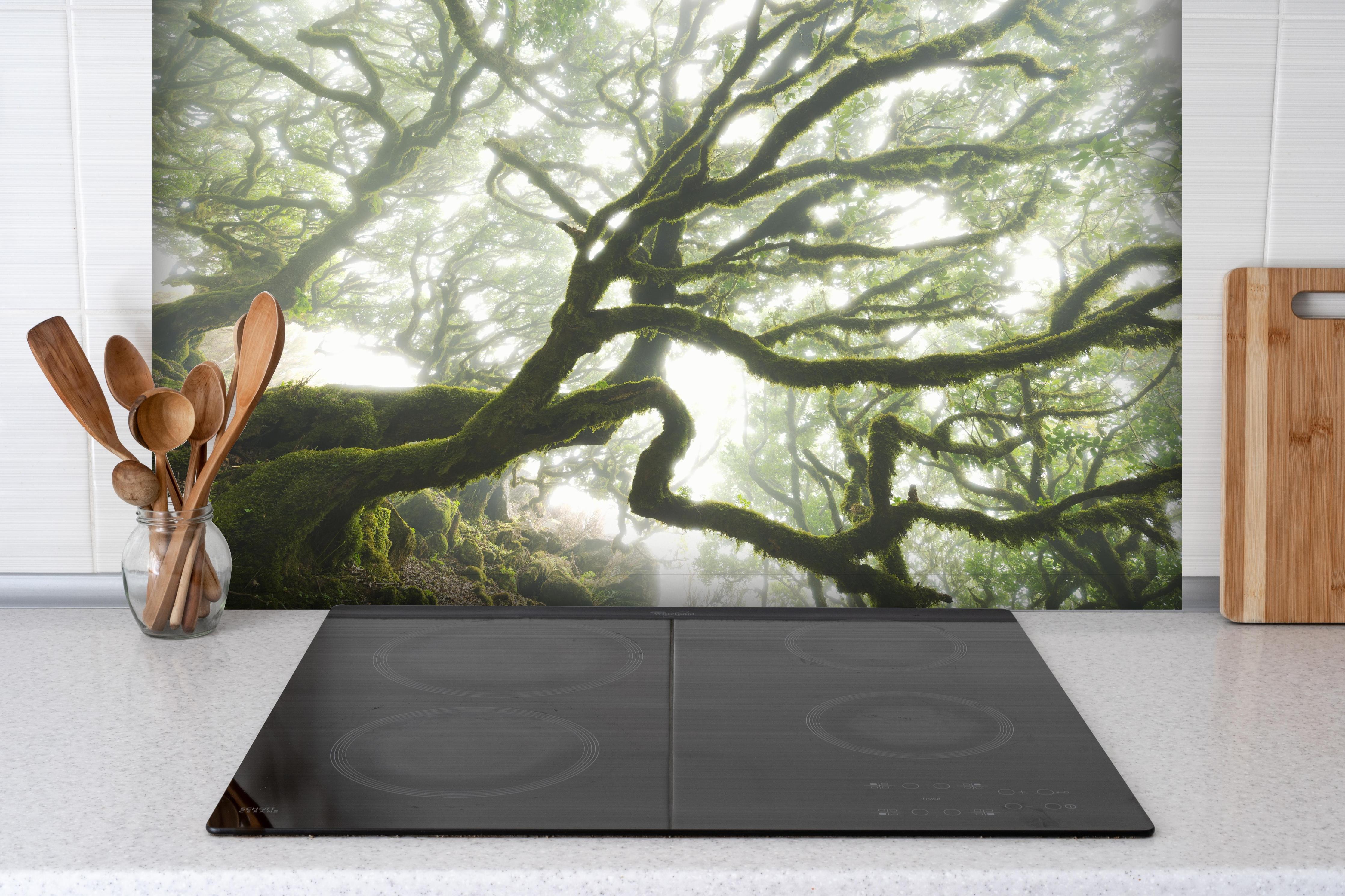 Spritzschutz - Magischer Baum hinter einem Cerankochfeld zwischen Holz-Kochutensilien