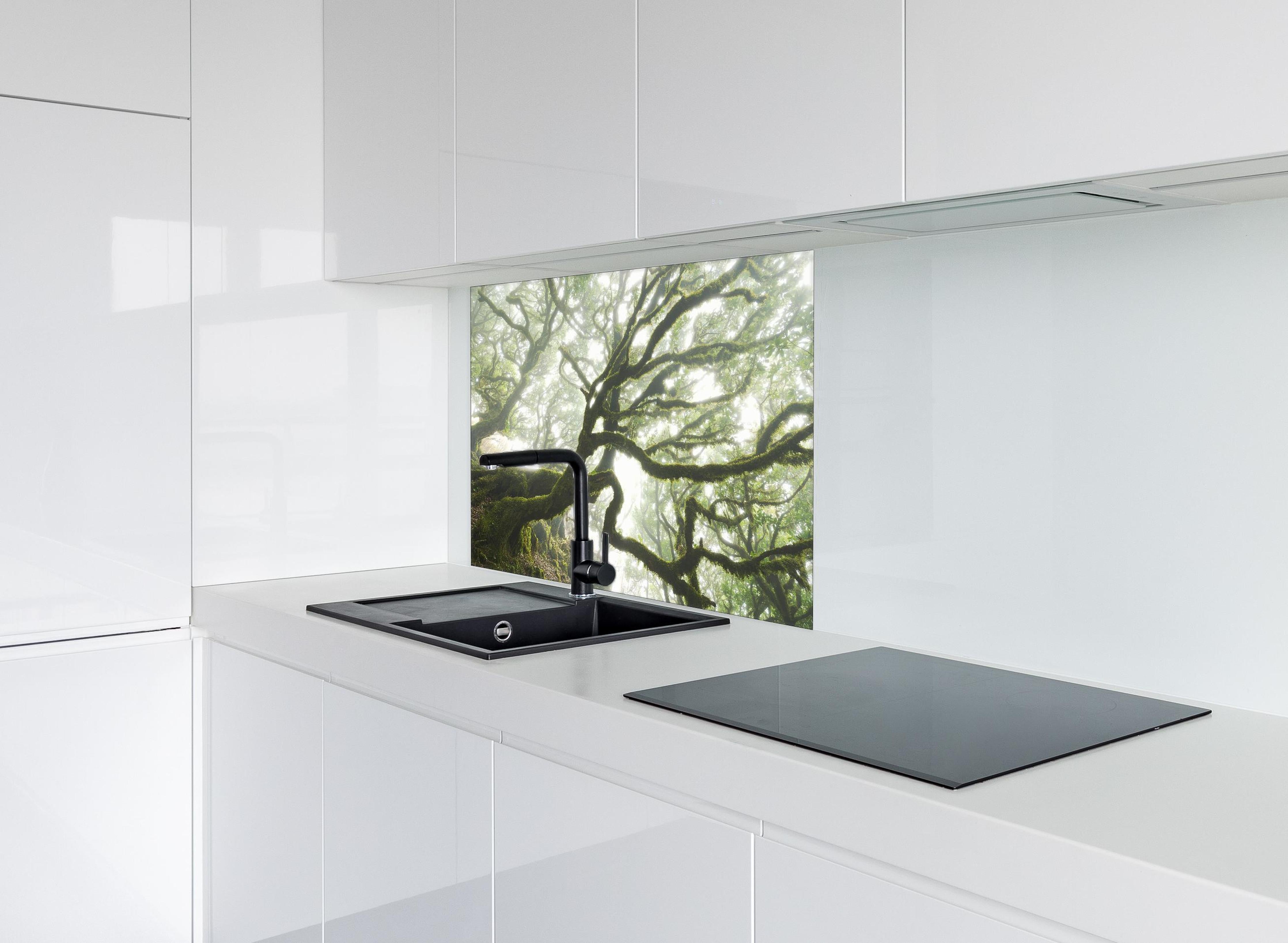 Spritzschutz - Magischer Baum hinter einem Cerankochfeld zwischen Holz-Kochutensilien