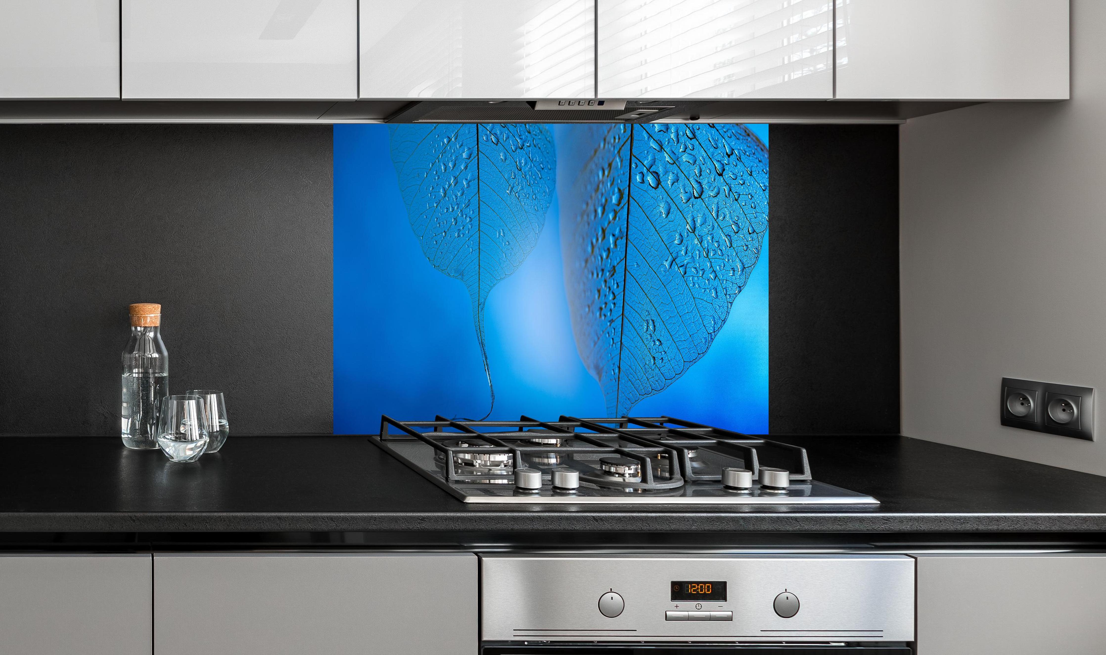 Spritzschutz - Makroaufnahme Blatt mit Tautropfen Blau hinter einem Cerankochfeld zwischen Holz-Kochutensilien