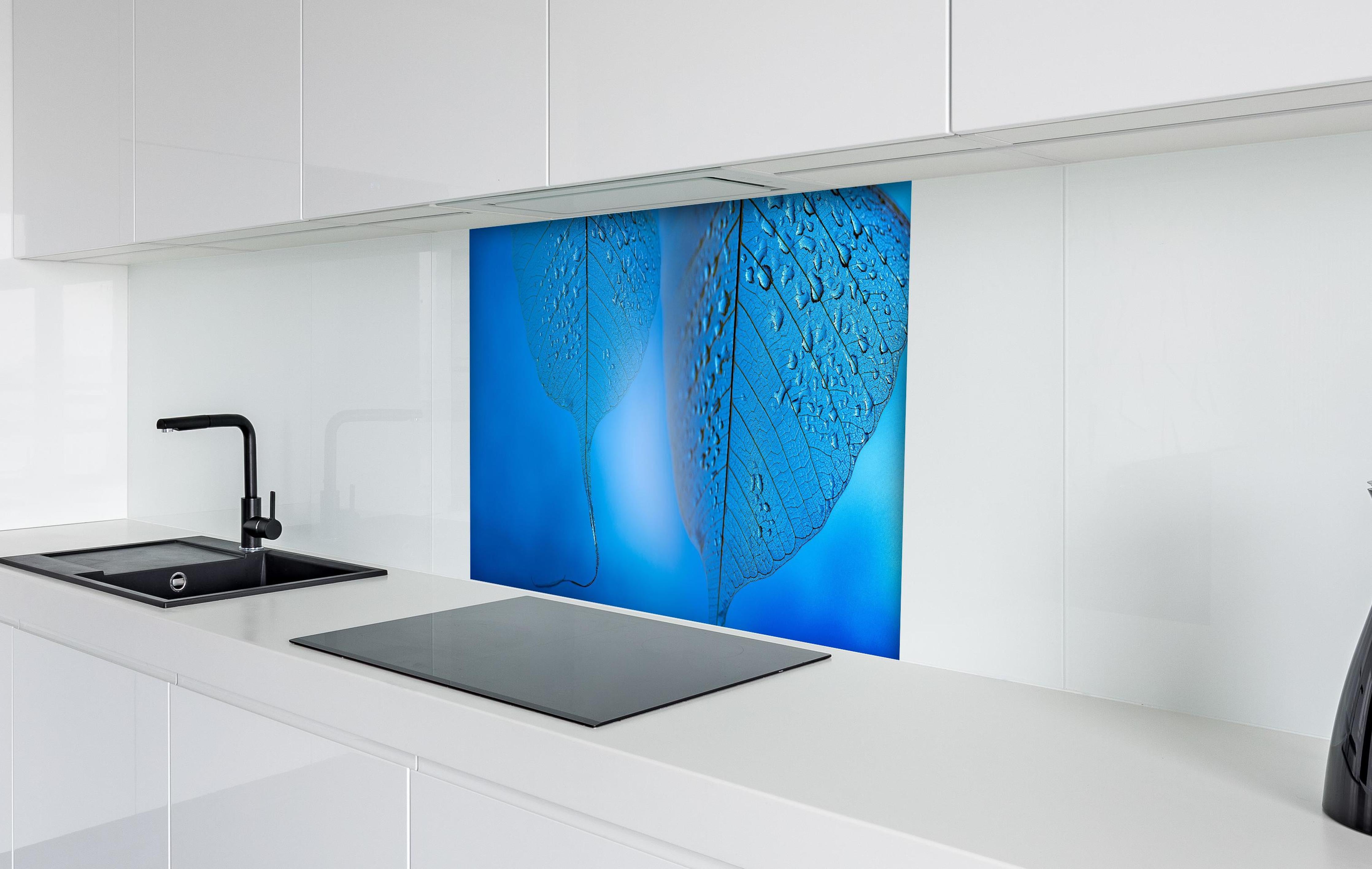 Spritzschutz - Makroaufnahme Blatt mit Tautropfen Blau hinter einem Cerankochfeld zwischen Holz-Kochutensilien