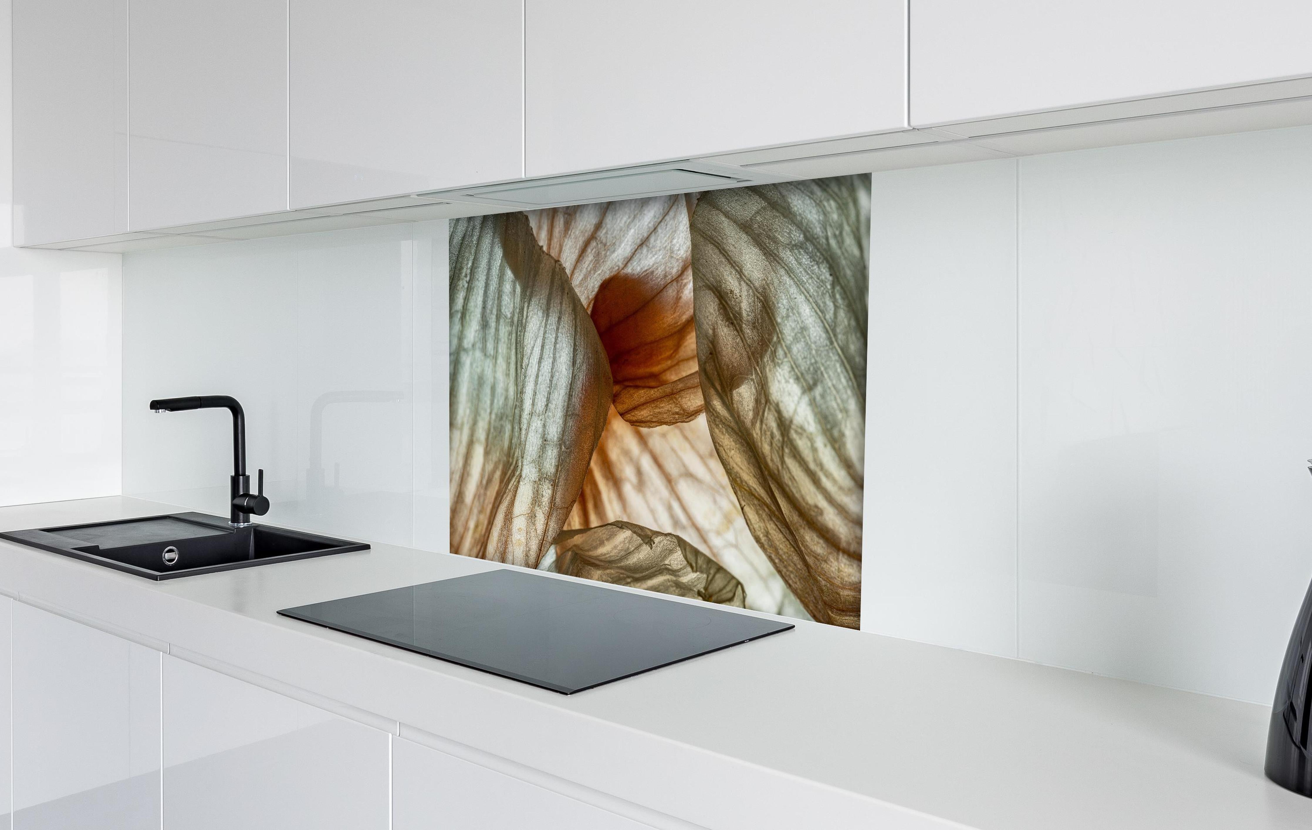 Spritzschutz - Makrofotografie der Schalenblatttextur einer Zwiebel hinter einem Cerankochfeld zwischen Holz-Kochutensilien