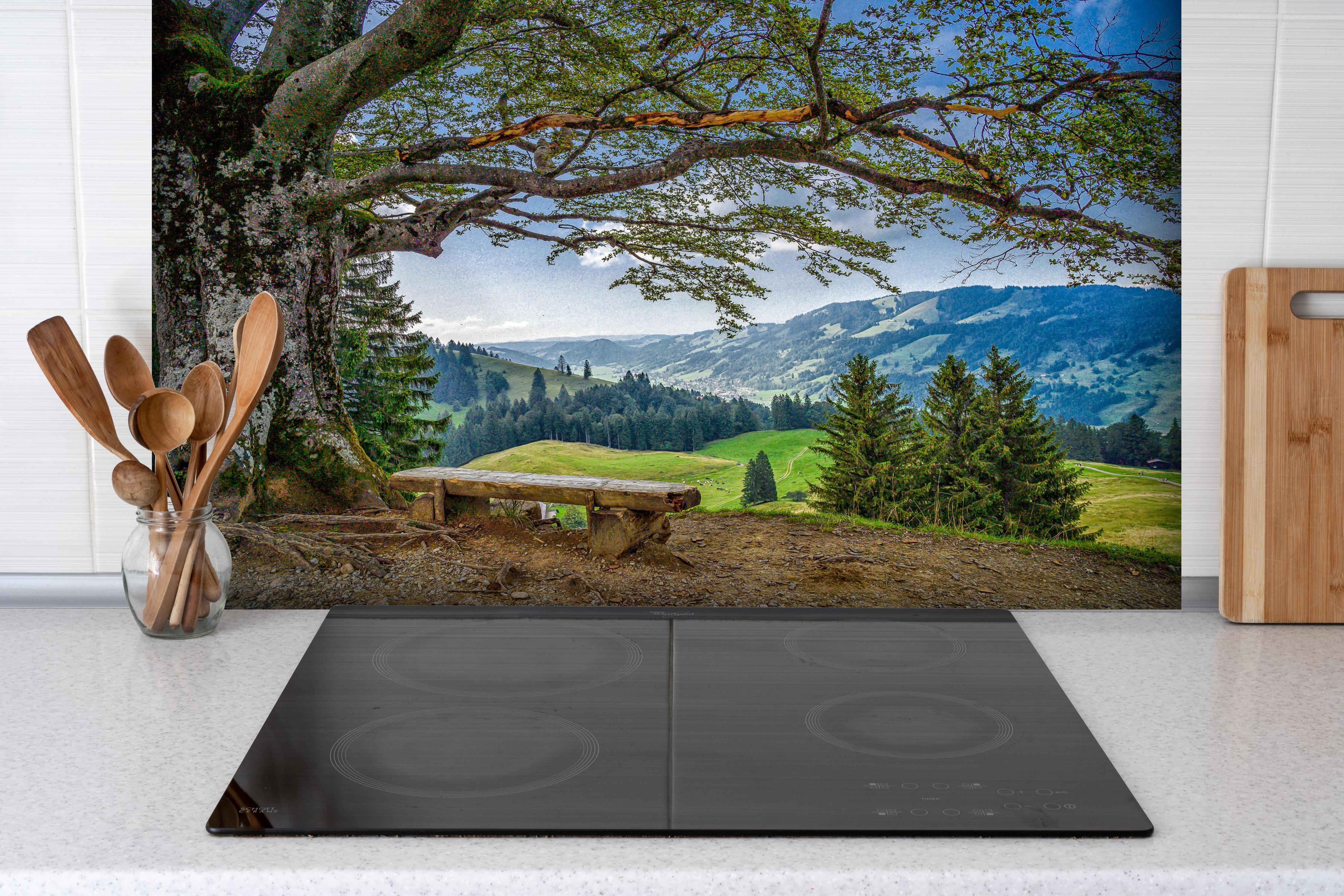 Spritzschutz - Malersche Bergpanorama mit alter Baum hinter einem Cerankochfeld zwischen Holz-Kochutensilien