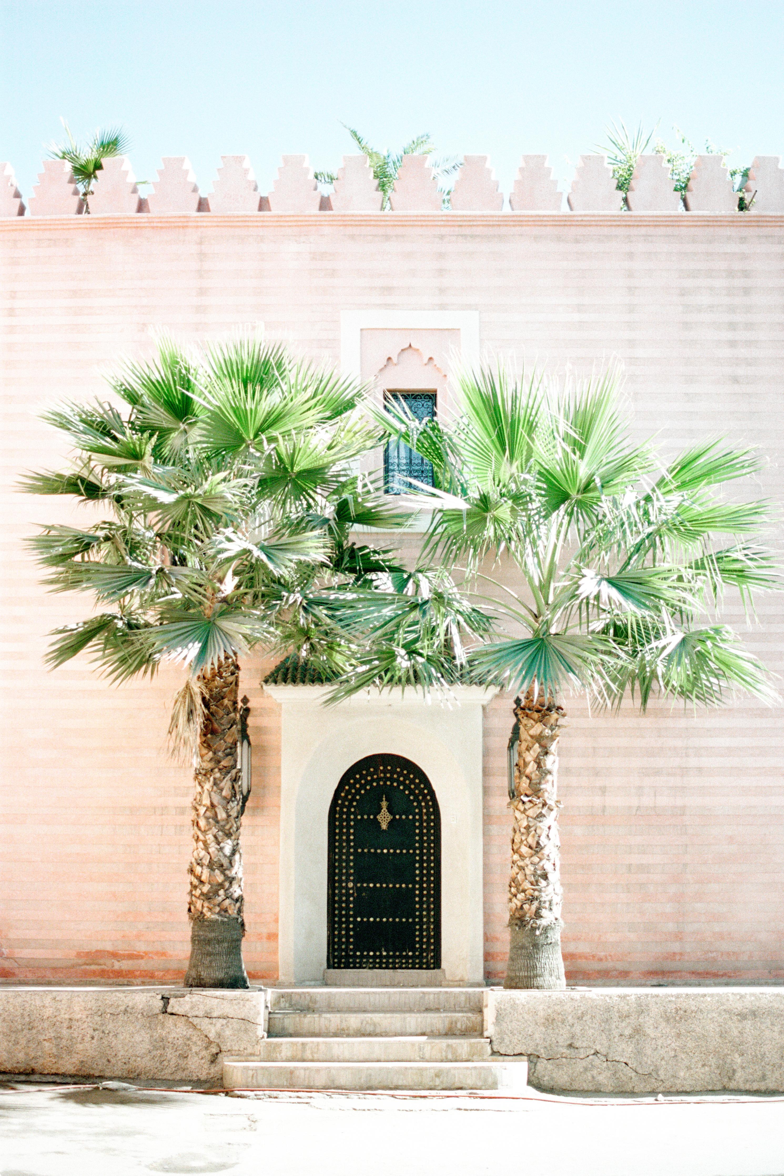 Spritzschutz-Marokkanische Palmentür in Rosa