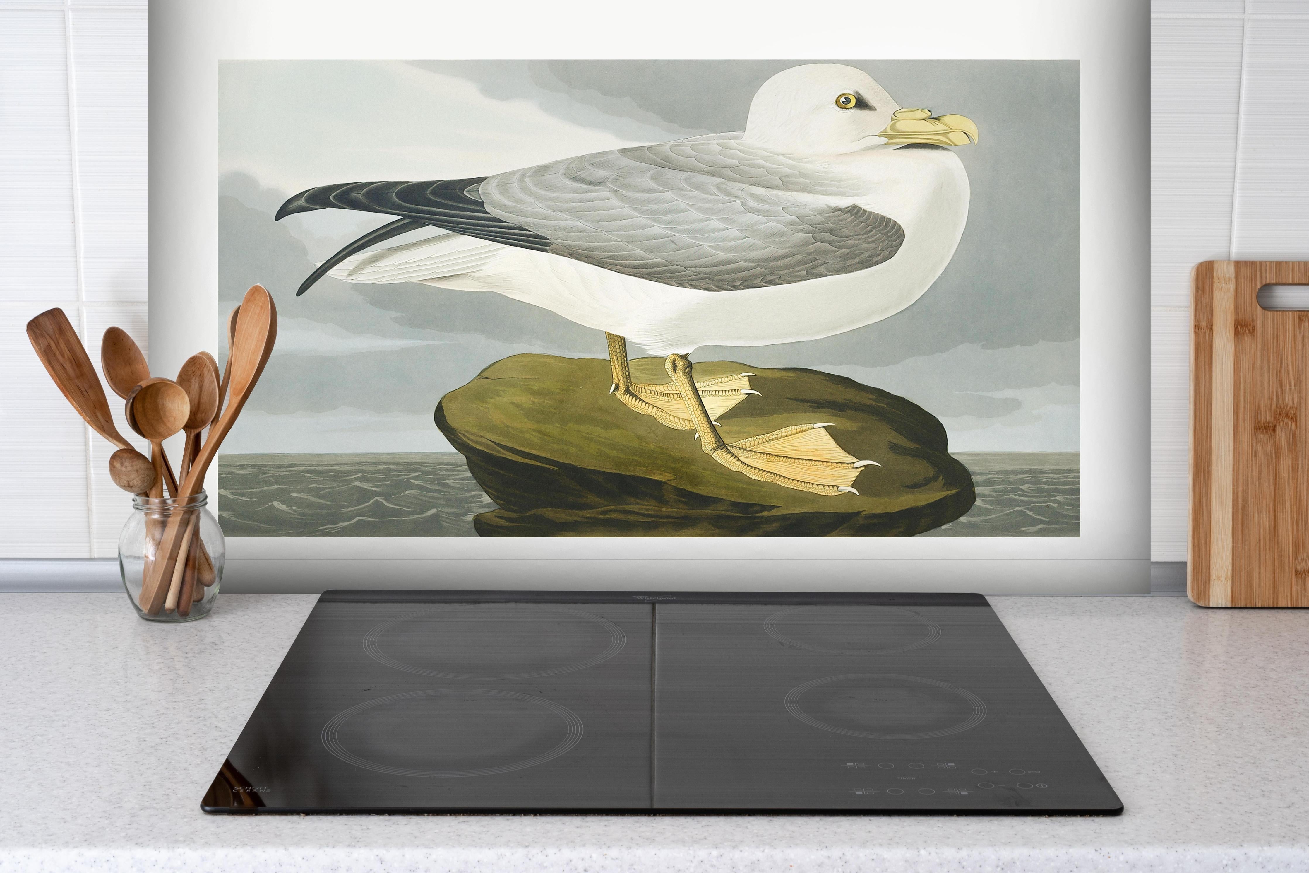 Spritzschutz - Möwe im Meer - Robert Havell hinter einem Cerankochfeld zwischen Holz-Kochutensilien