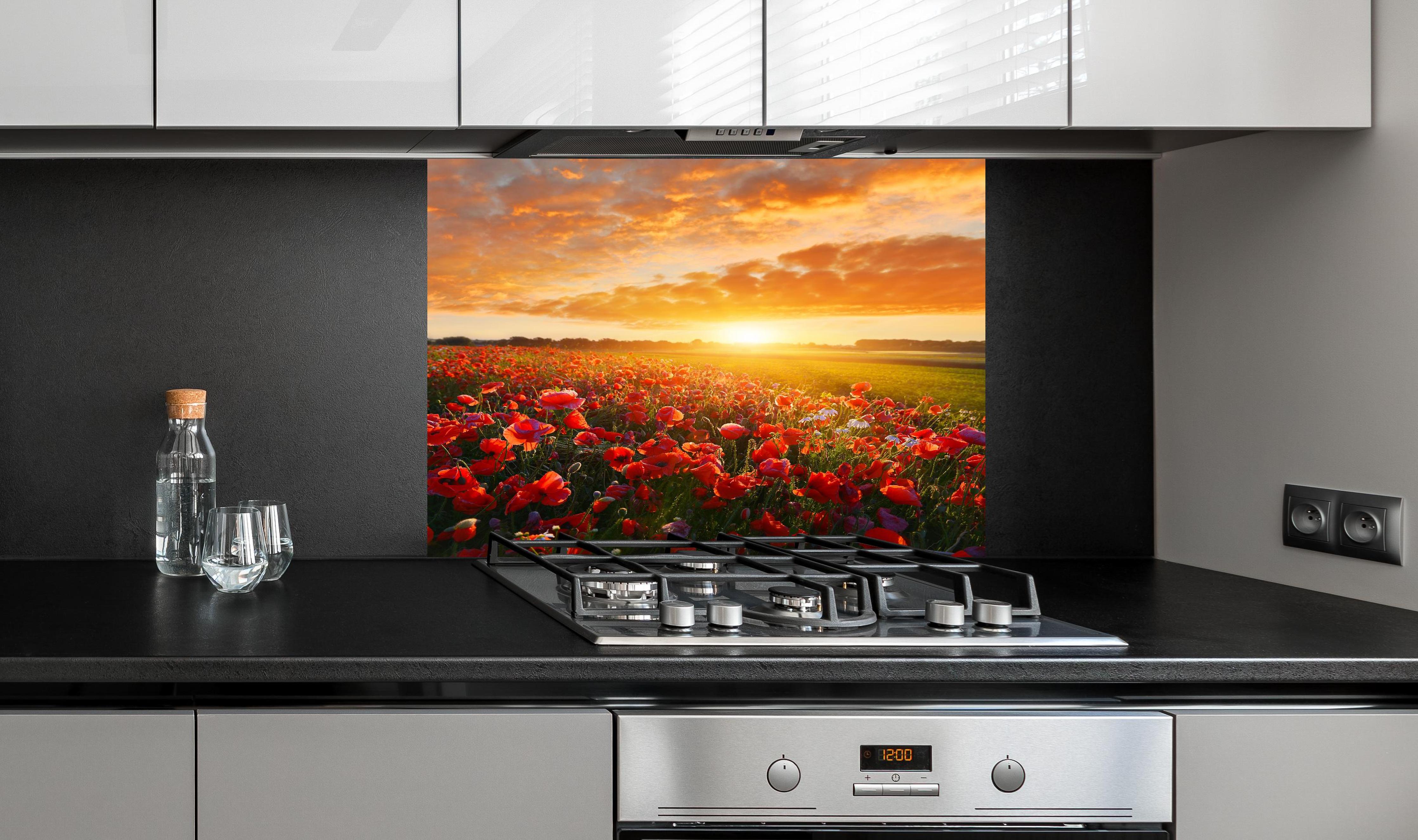 Spritzschutz - Mohnblüten bei Sonnenaufgang in Kassel hinter einem Cerankochfeld zwischen Holz-Kochutensilien