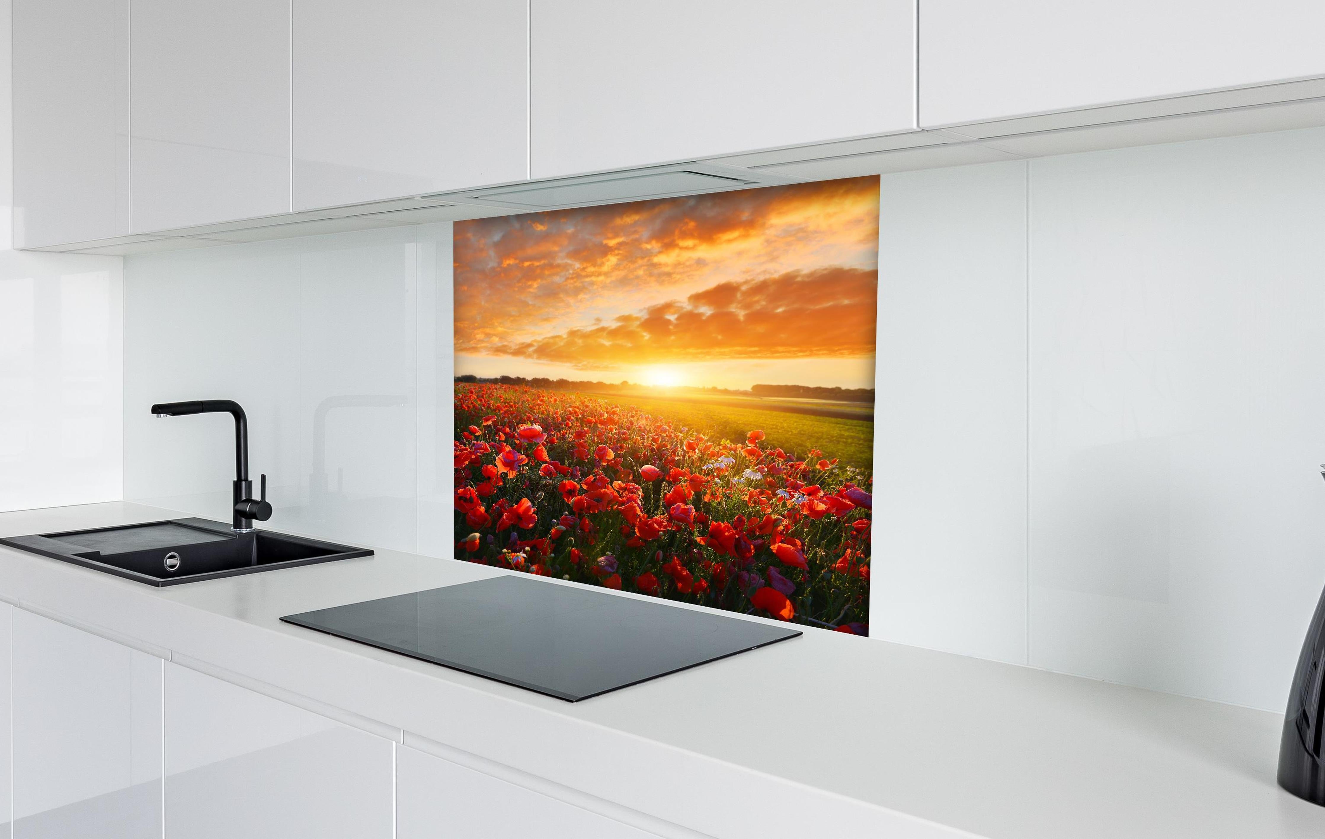 Spritzschutz - Mohnblüten bei Sonnenaufgang in Kassel hinter einem Cerankochfeld zwischen Holz-Kochutensilien