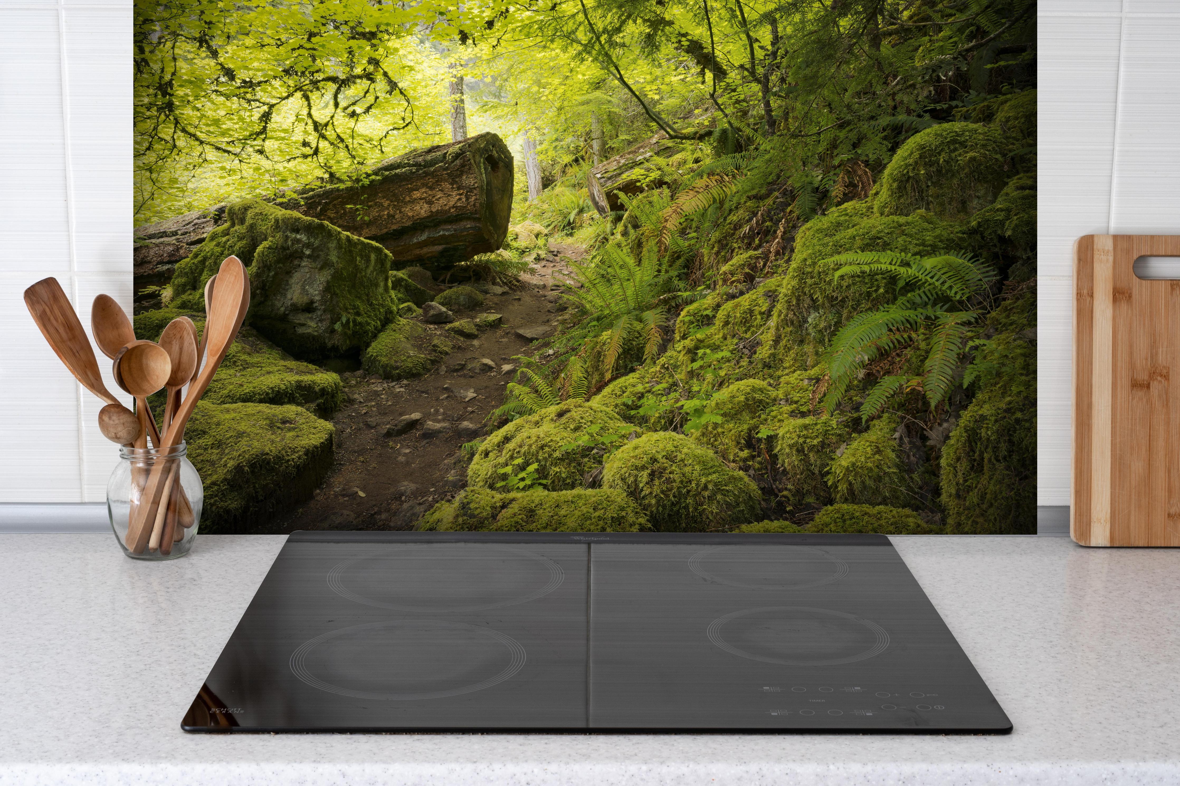 Spritzschutz - Moosiger Weg im Wald hinter einem Cerankochfeld zwischen Holz-Kochutensilien