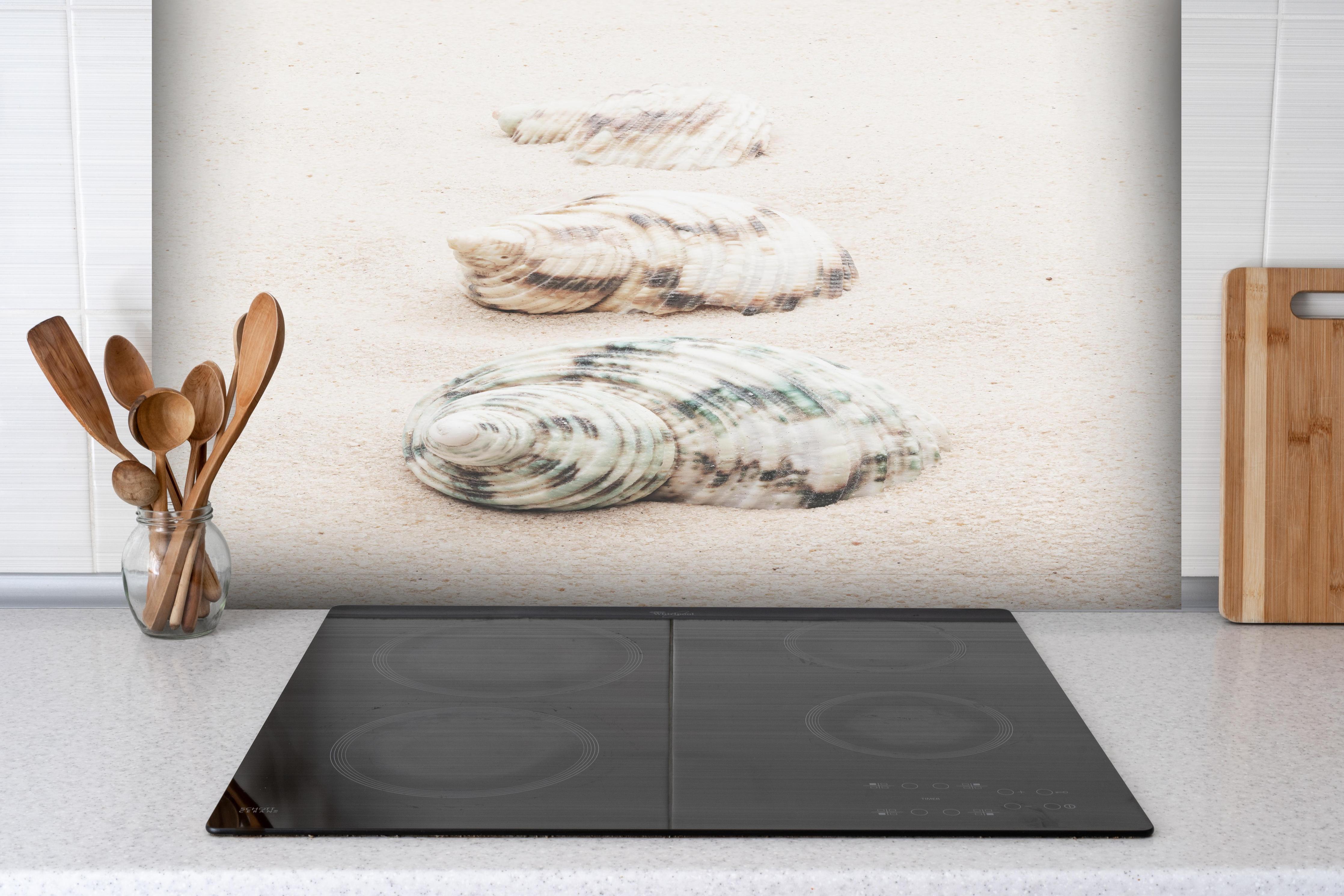 Spritzschutz - Muscheln am Strand hinter einem Cerankochfeld zwischen Holz-Kochutensilien