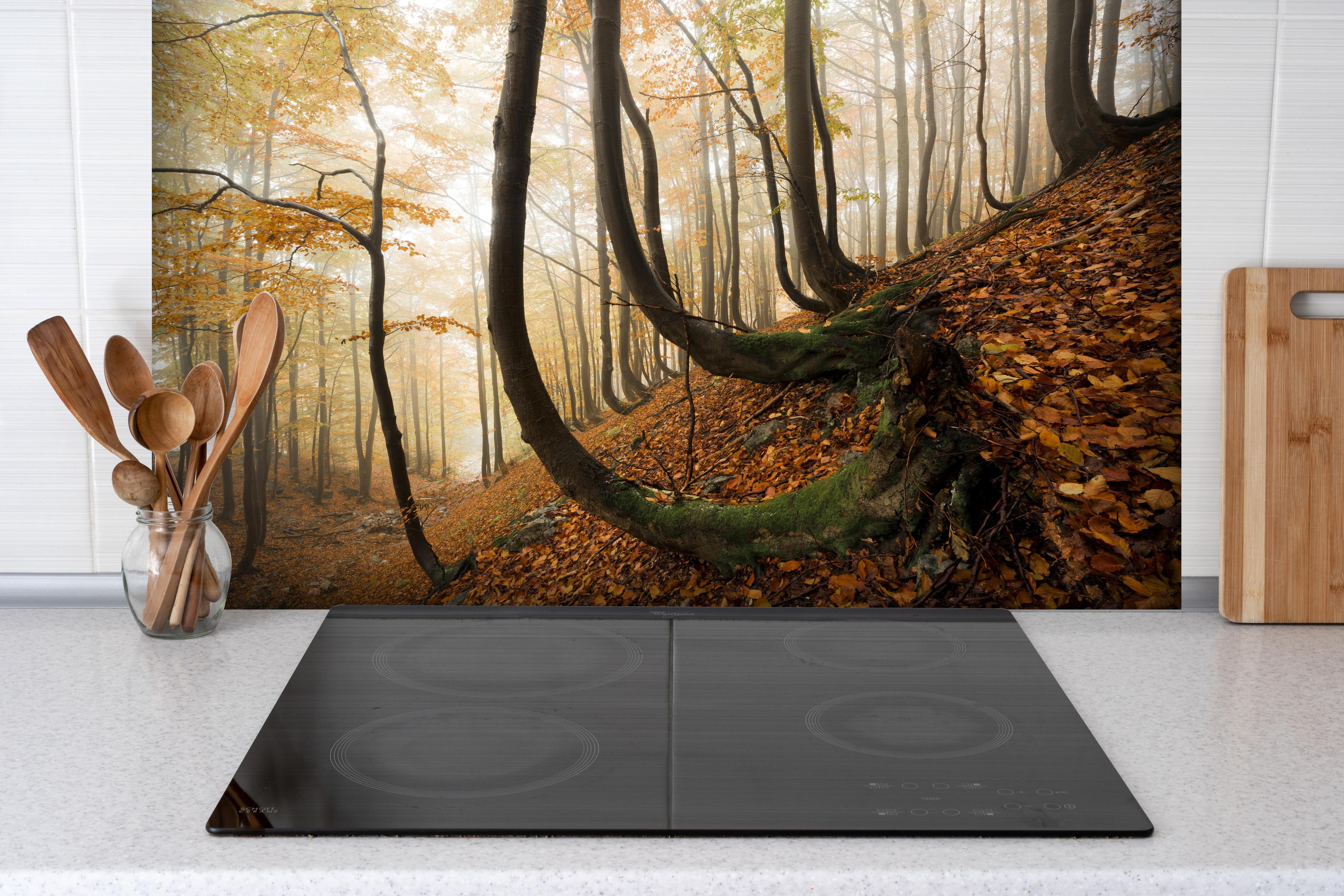 Spritzschutz - Mystischer Wald im Herbst hinter einem Cerankochfeld zwischen Holz-Kochutensilien