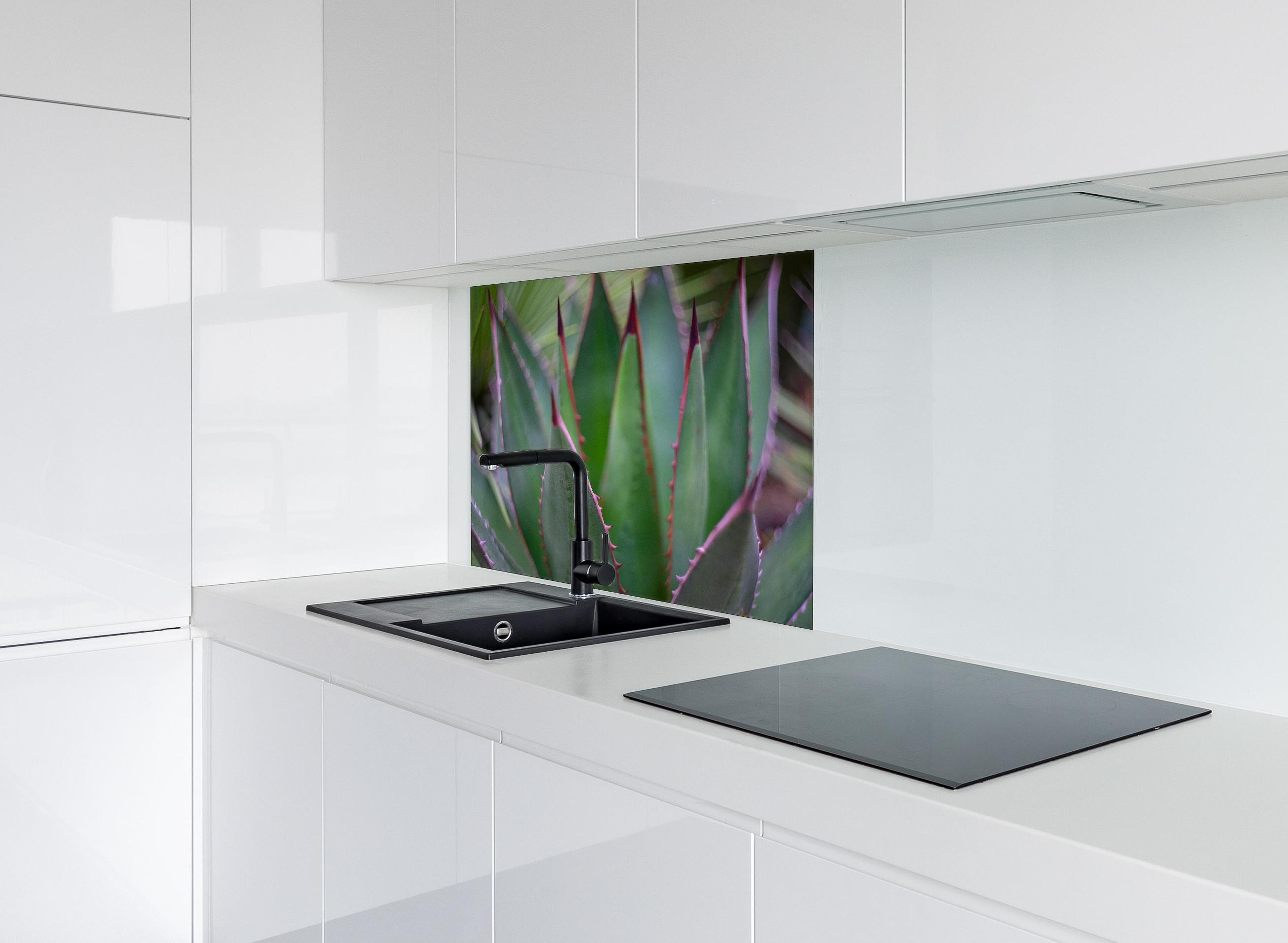 Spritzschutz - Nahaufnahme - Agave ghiesbreghti hinter einem Cerankochfeld zwischen Holz-Kochutensilien