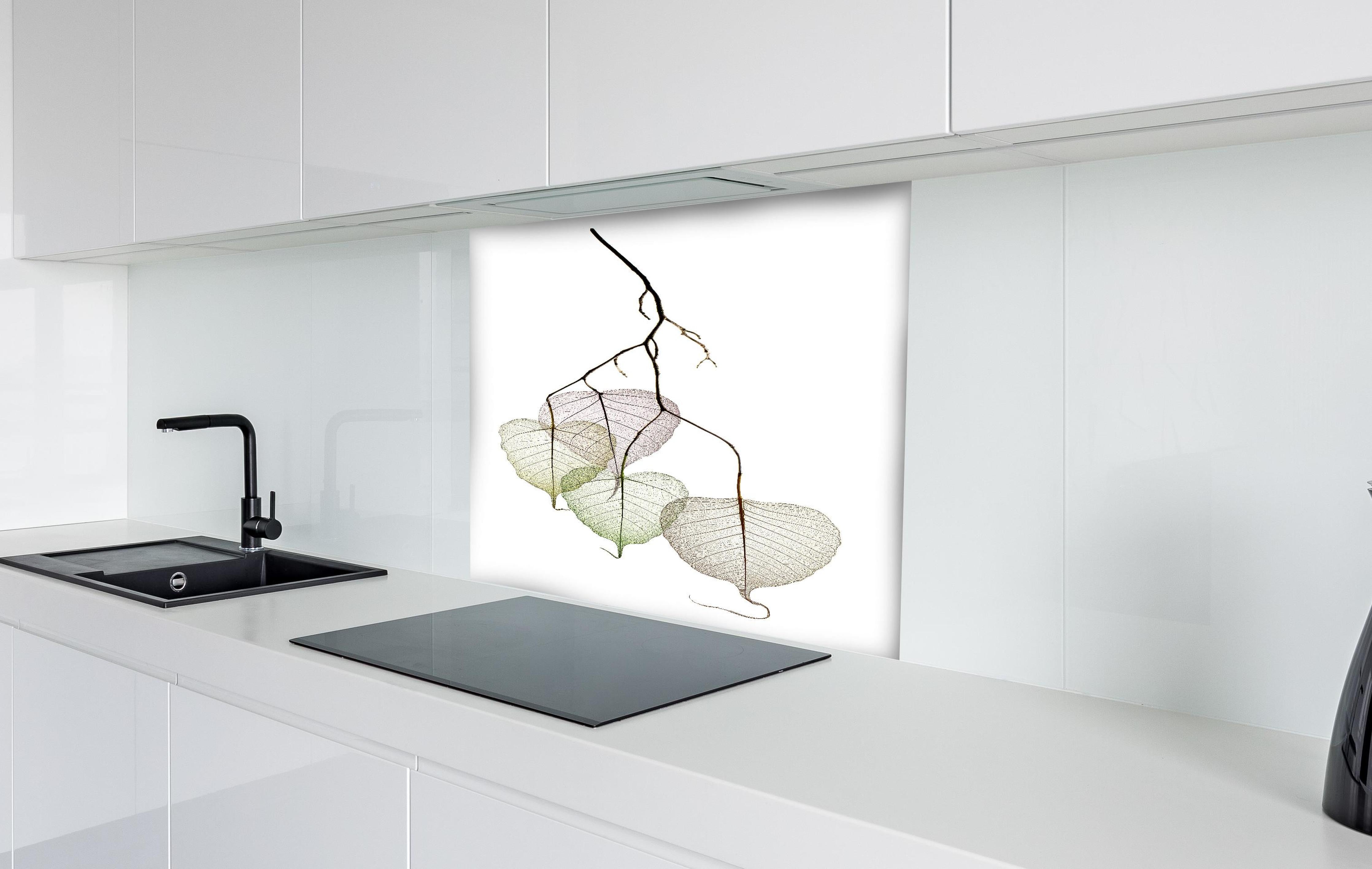 Spritzschutz - Nahaufnahme - Blätterzweige hinter einem Cerankochfeld zwischen Holz-Kochutensilien