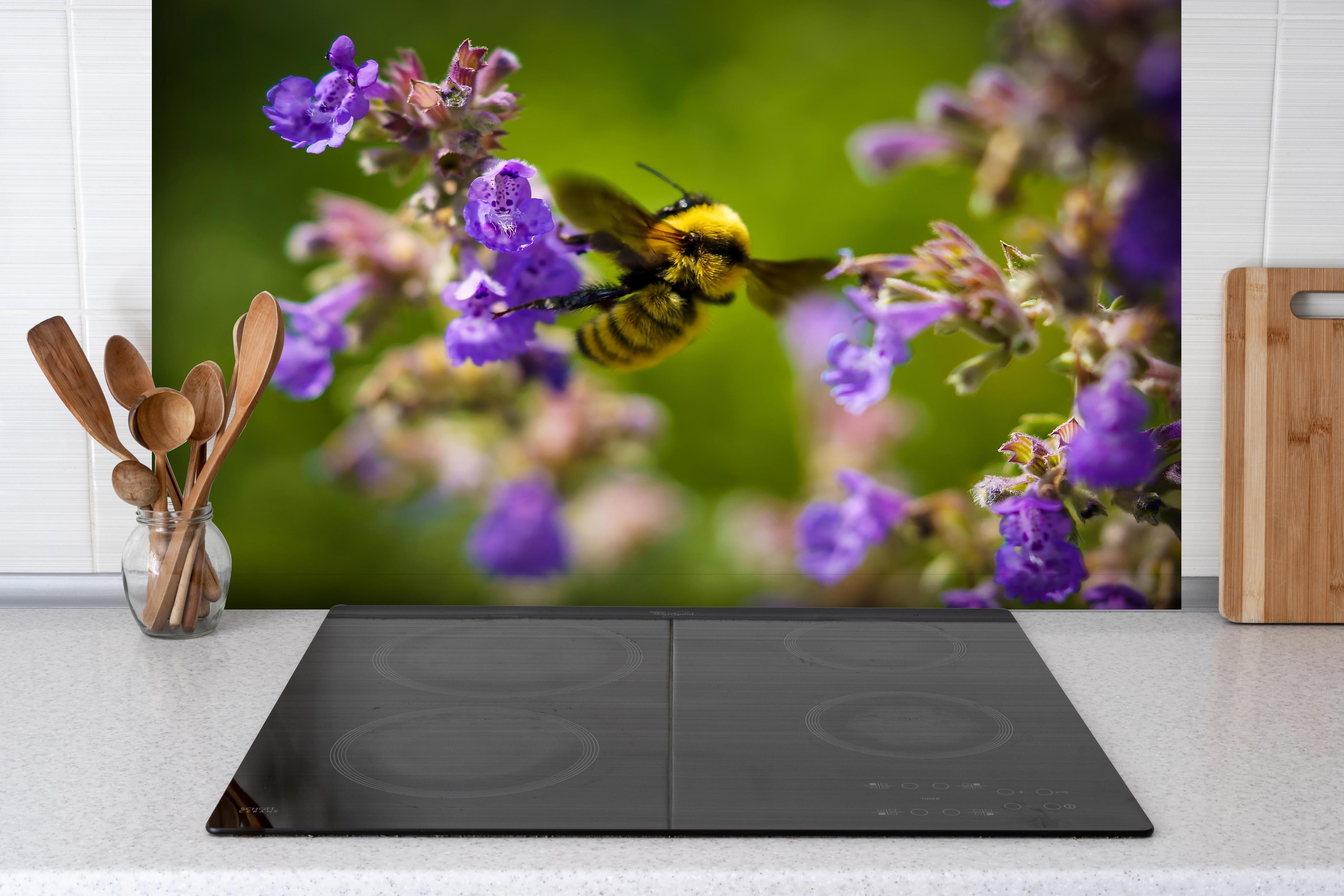 Spritzschutz - Nahaufnahme einer Honigbiene hinter einem Cerankochfeld zwischen Holz-Kochutensilien