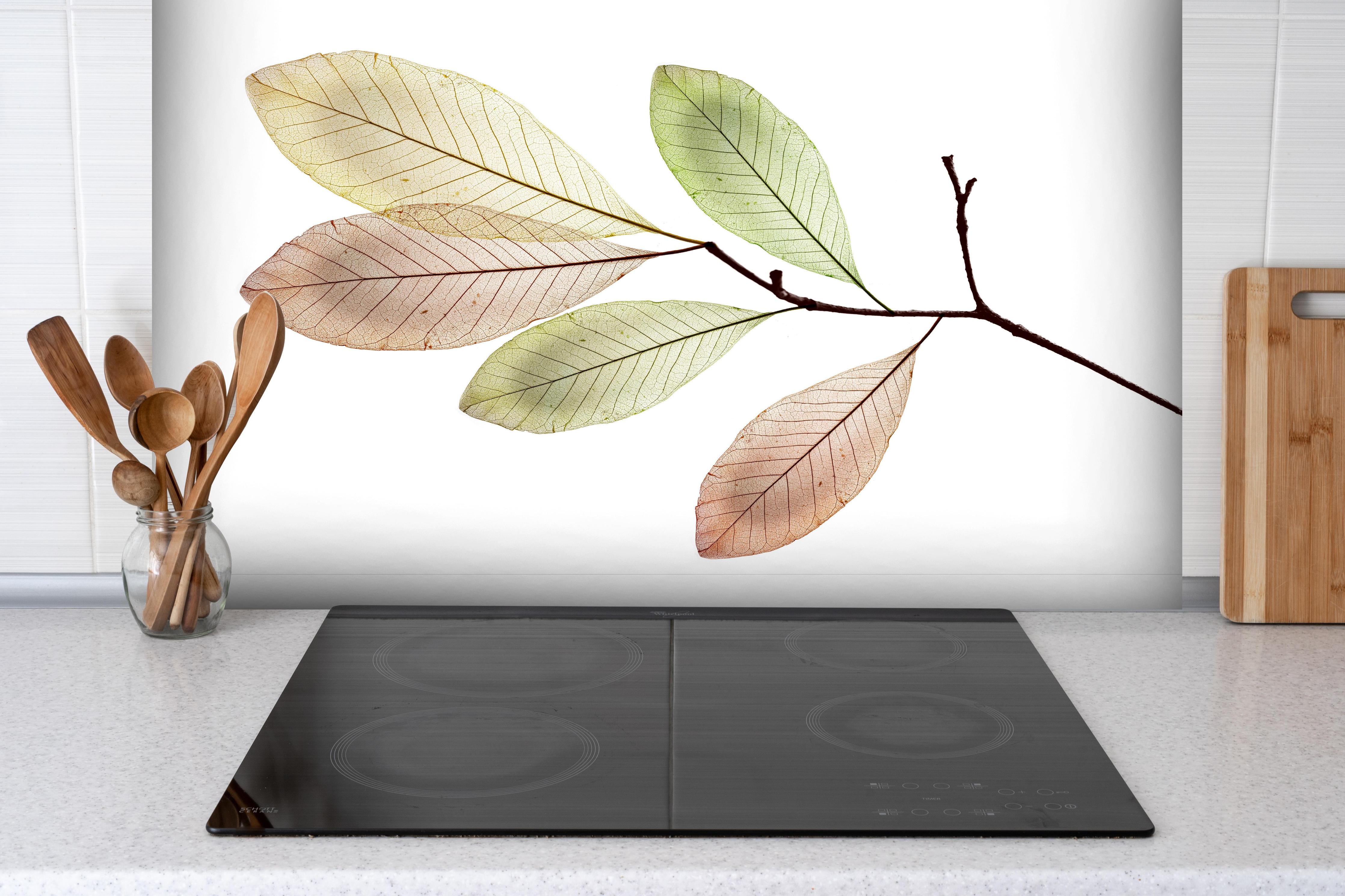 Spritzschutz - Natürliche Blattstruktur mit Adern und Texturen hinter einem Cerankochfeld zwischen Holz-Kochutensilien