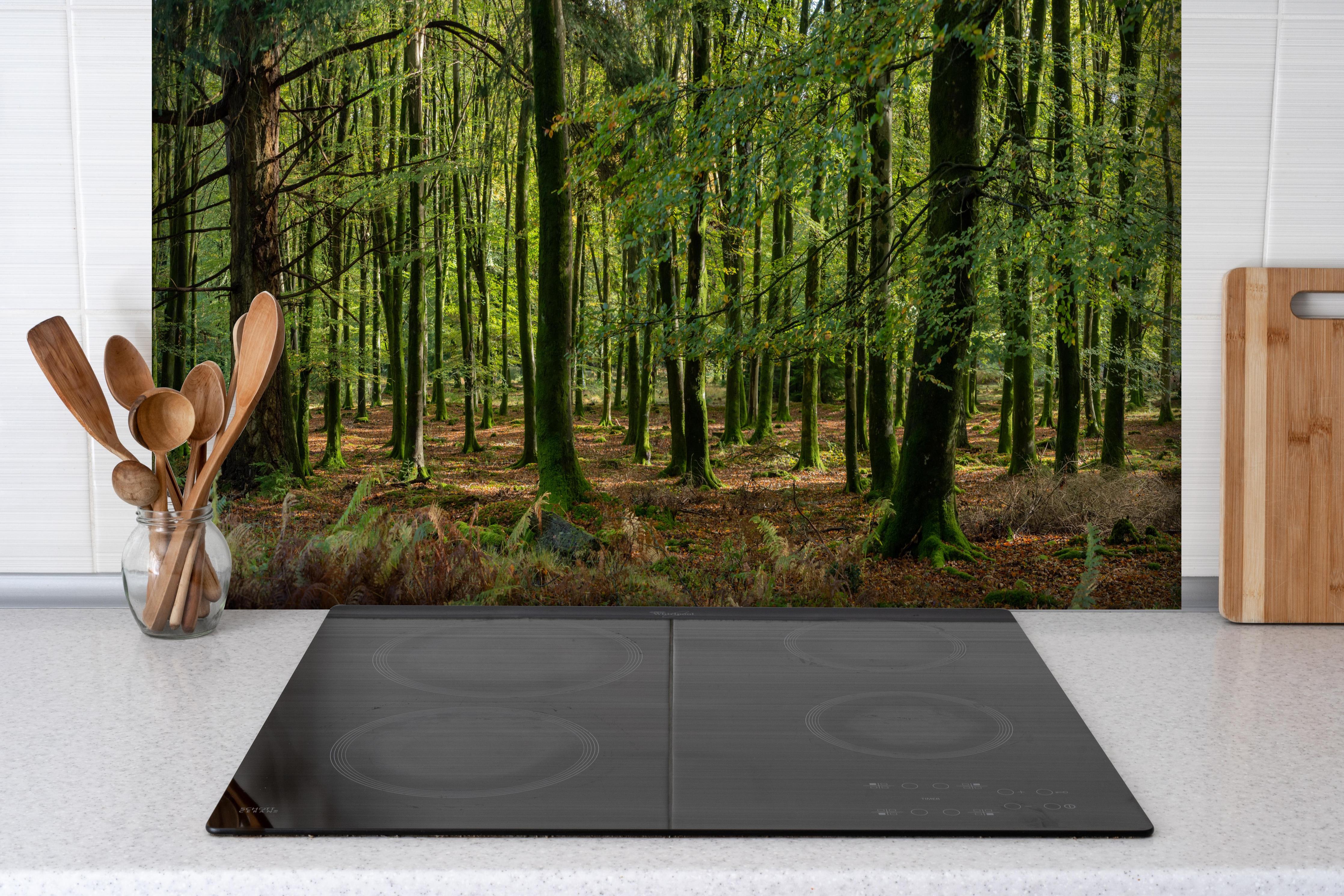 Spritzschutz - Natürliches Waldpanorama in Grün hinter einem Cerankochfeld zwischen Holz-Kochutensilien