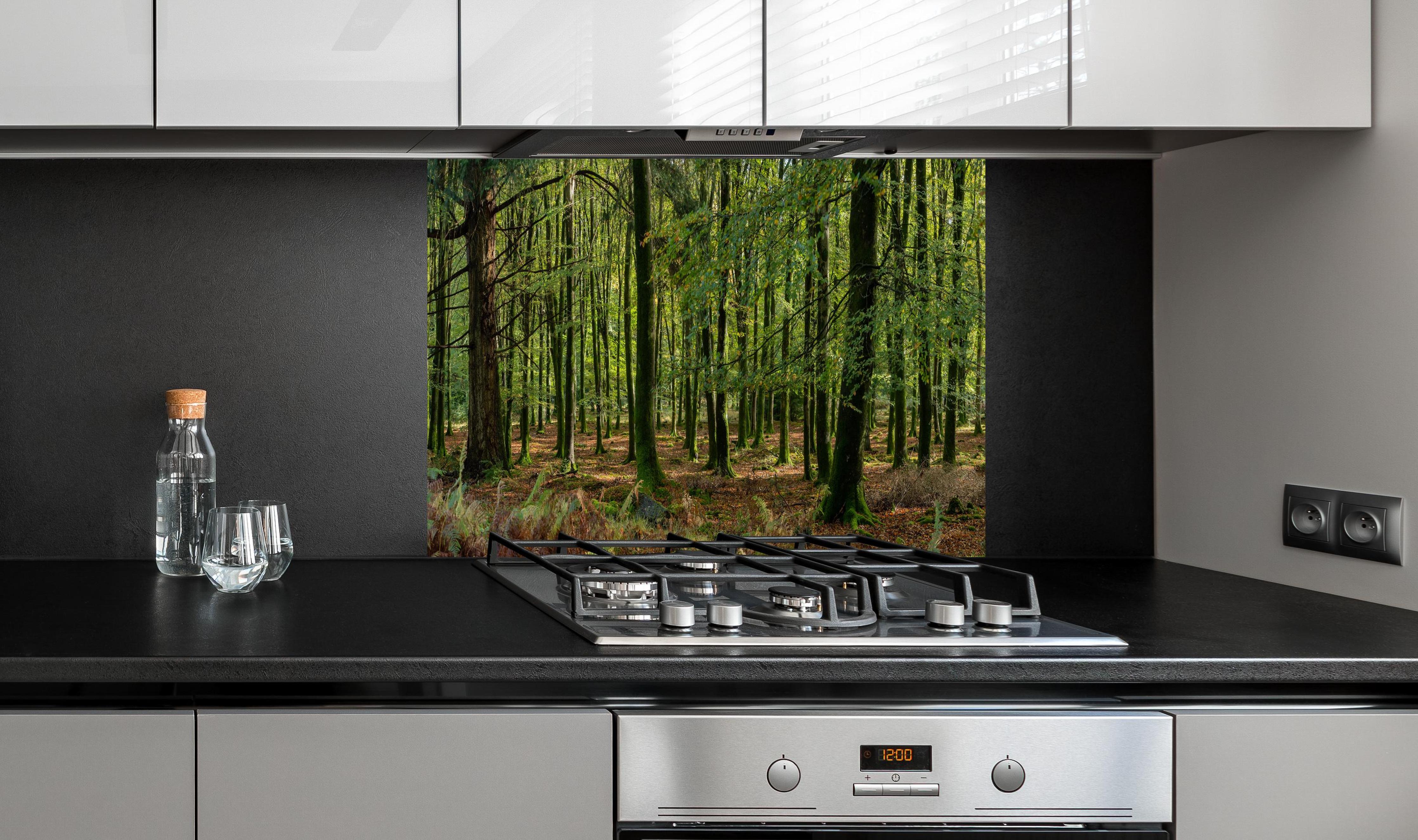 Spritzschutz - Natürliches Waldpanorama in Grün hinter einem Cerankochfeld zwischen Holz-Kochutensilien