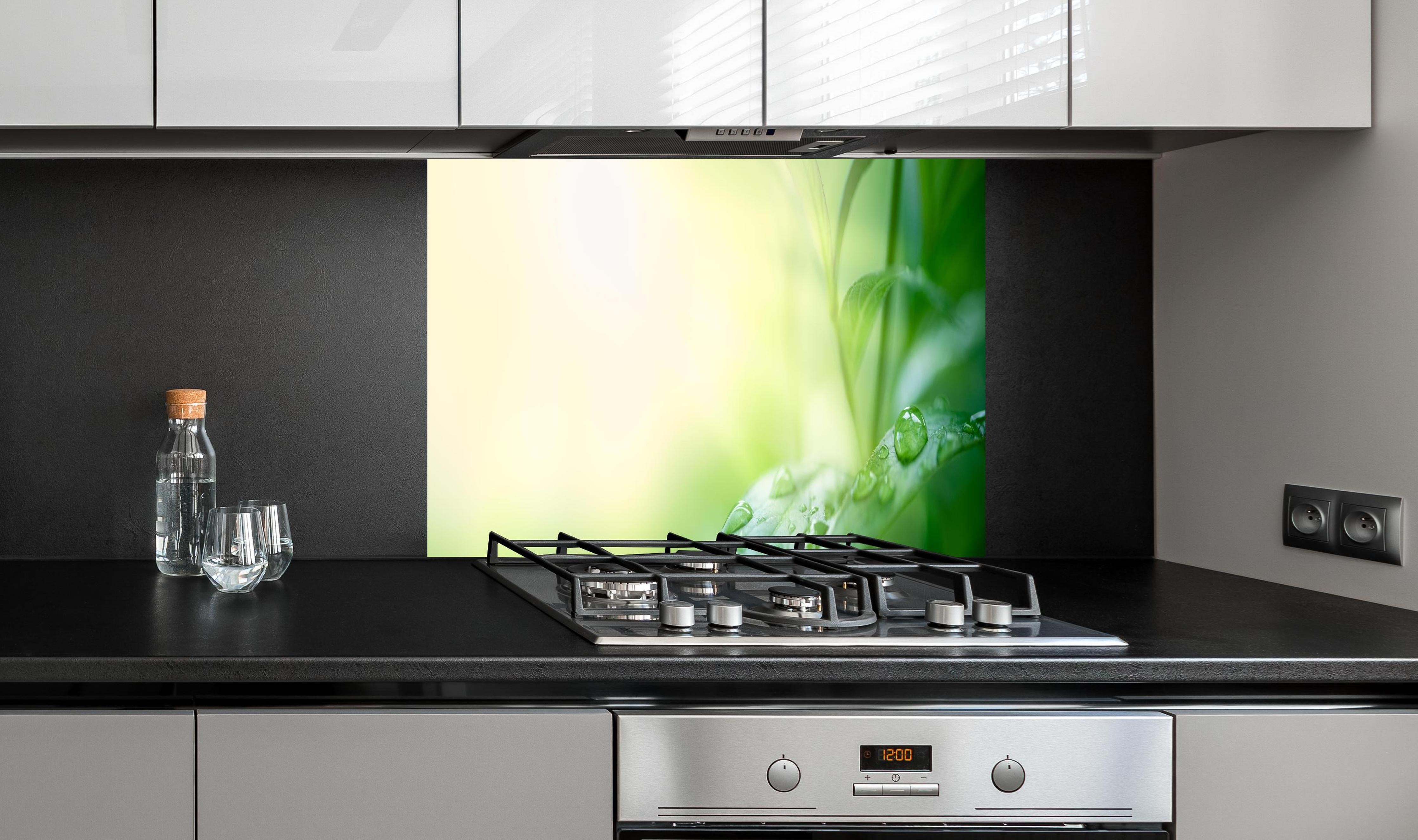 Spritzschutz - Natur Grünes Blatt mit Regentropfen hinter einem Cerankochfeld zwischen Holz-Kochutensilien