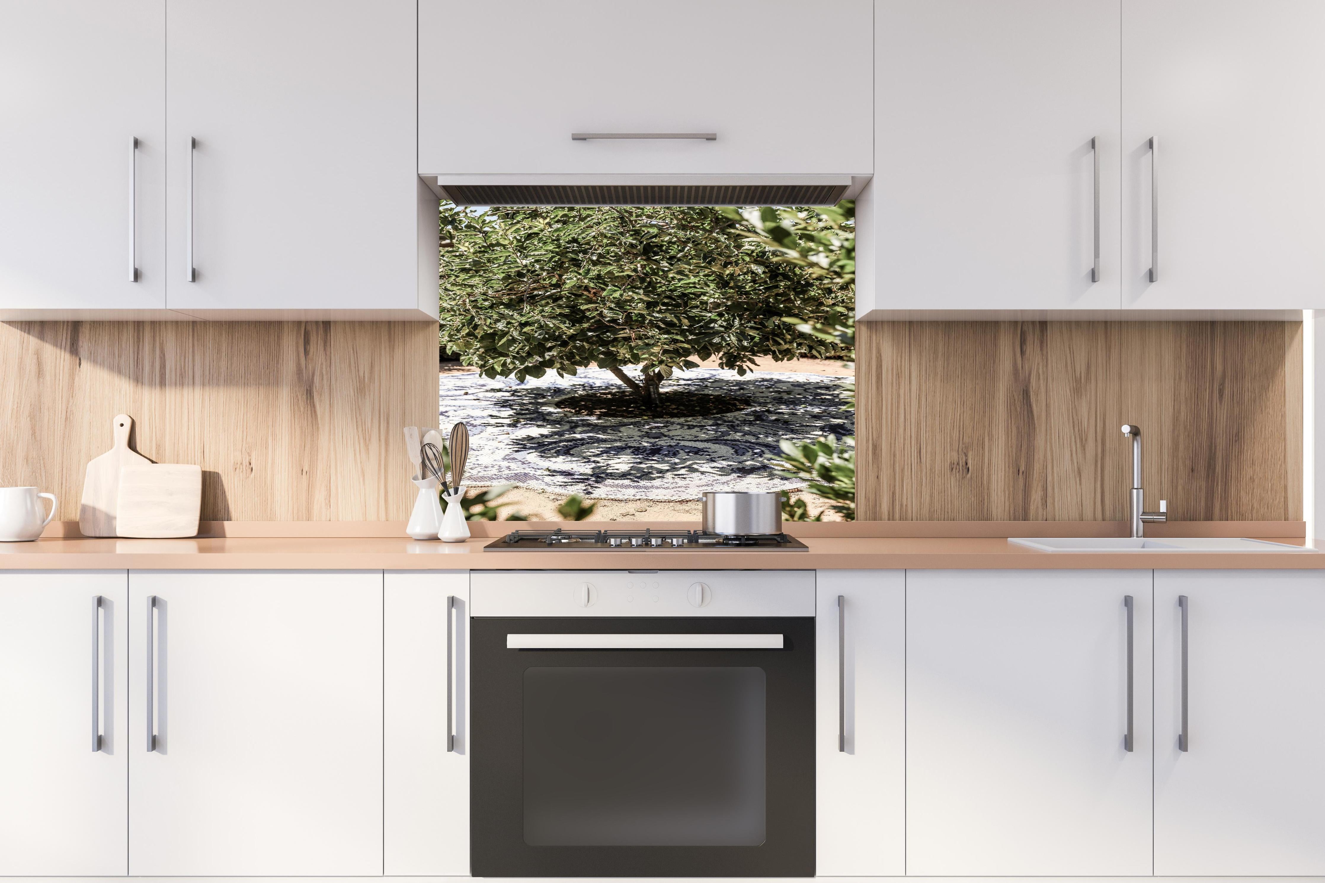 Spritzschutz - Naturmosaik Schatten Baum Sonnenlicht hinter einem Cerankochfeld zwischen Holz-Kochutensilien