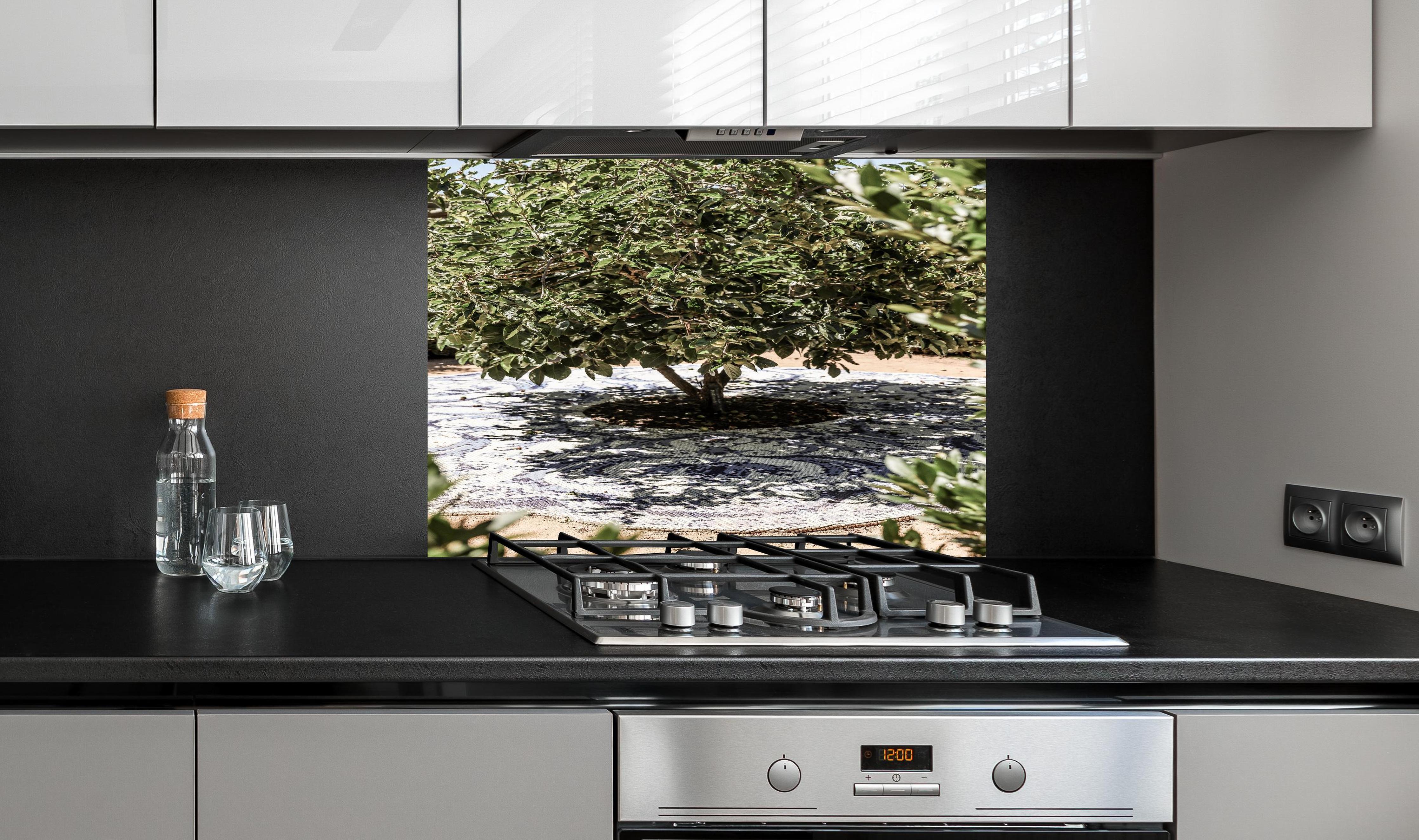 Spritzschutz - Naturmosaik Schatten Baum Sonnenlicht hinter einem Cerankochfeld zwischen Holz-Kochutensilien