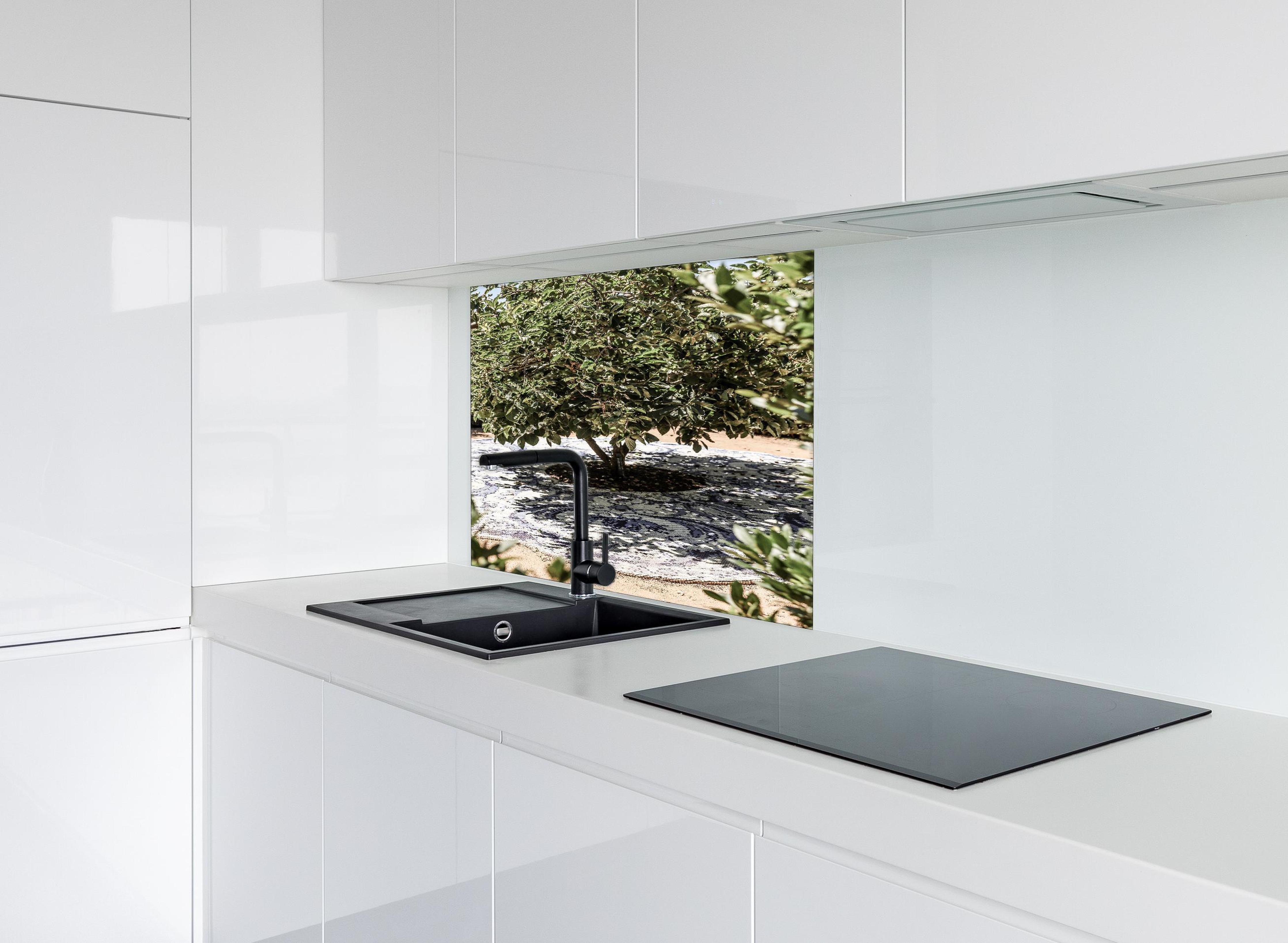 Spritzschutz - Naturmosaik Schatten Baum Sonnenlicht hinter einem Cerankochfeld zwischen Holz-Kochutensilien