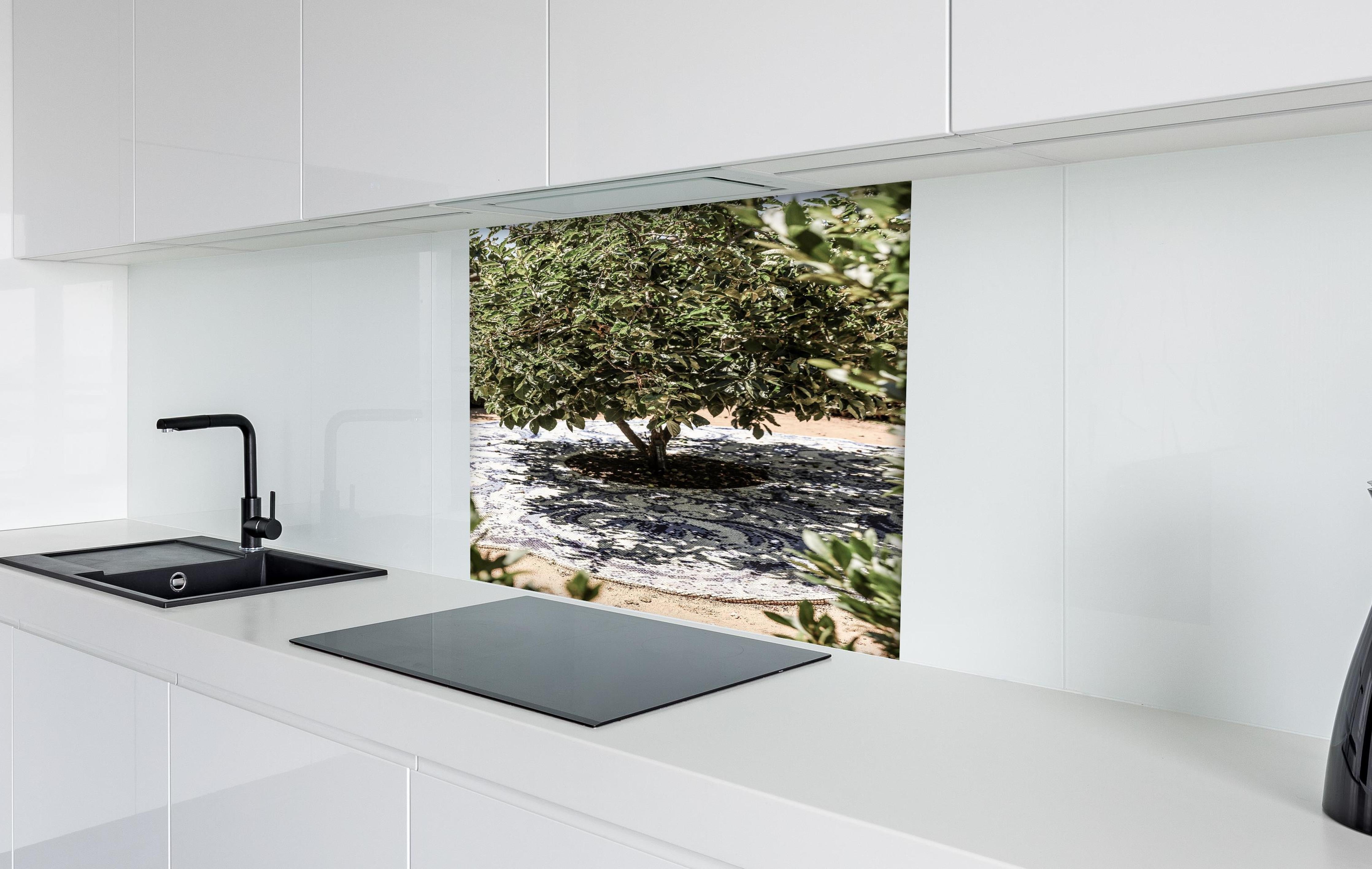 Spritzschutz - Naturmosaik Schatten Baum Sonnenlicht hinter einem Cerankochfeld zwischen Holz-Kochutensilien