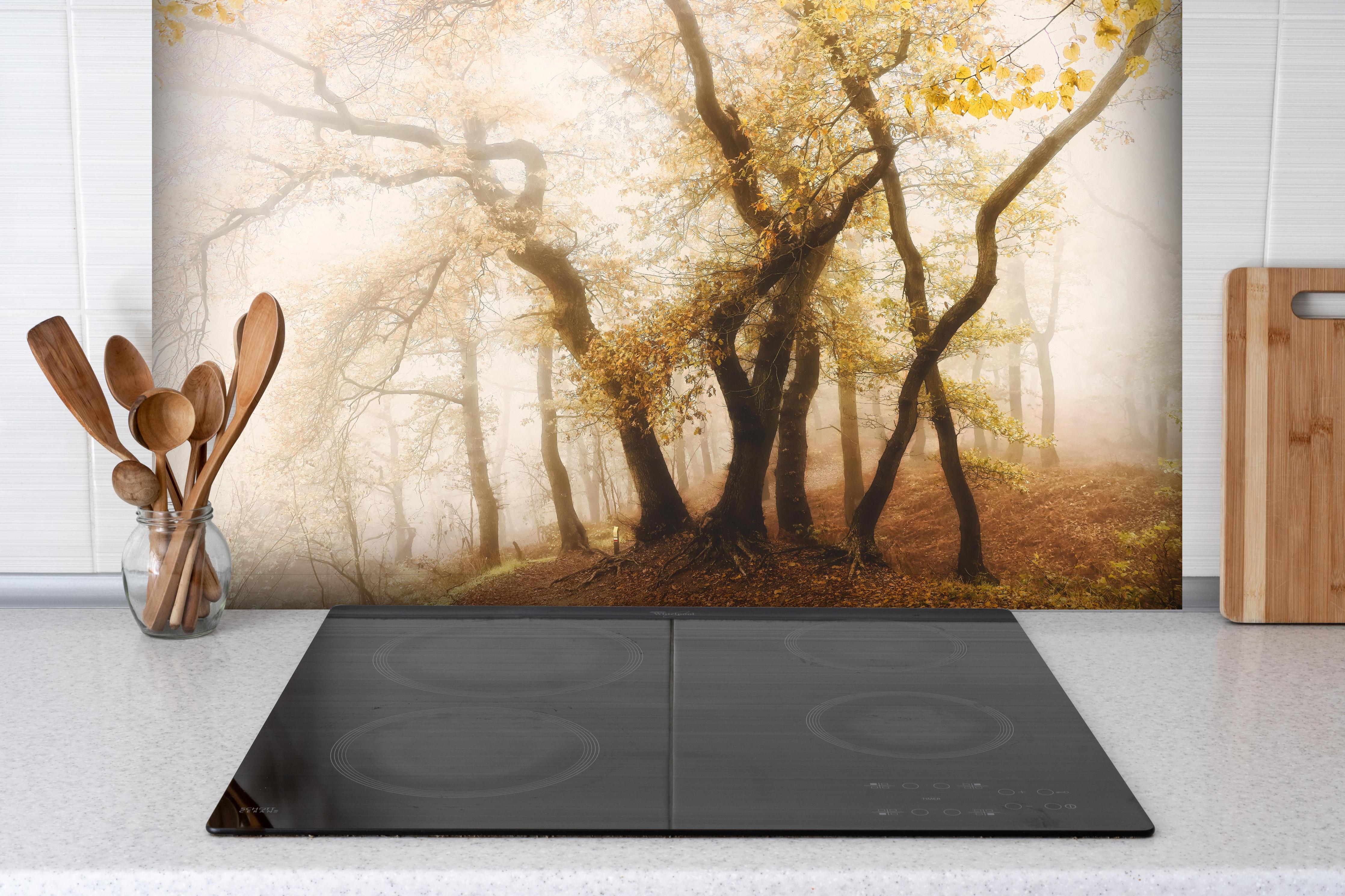 Spritzschutz - Nebeliger Wald im Herbst hinter einem Cerankochfeld zwischen Holz-Kochutensilien