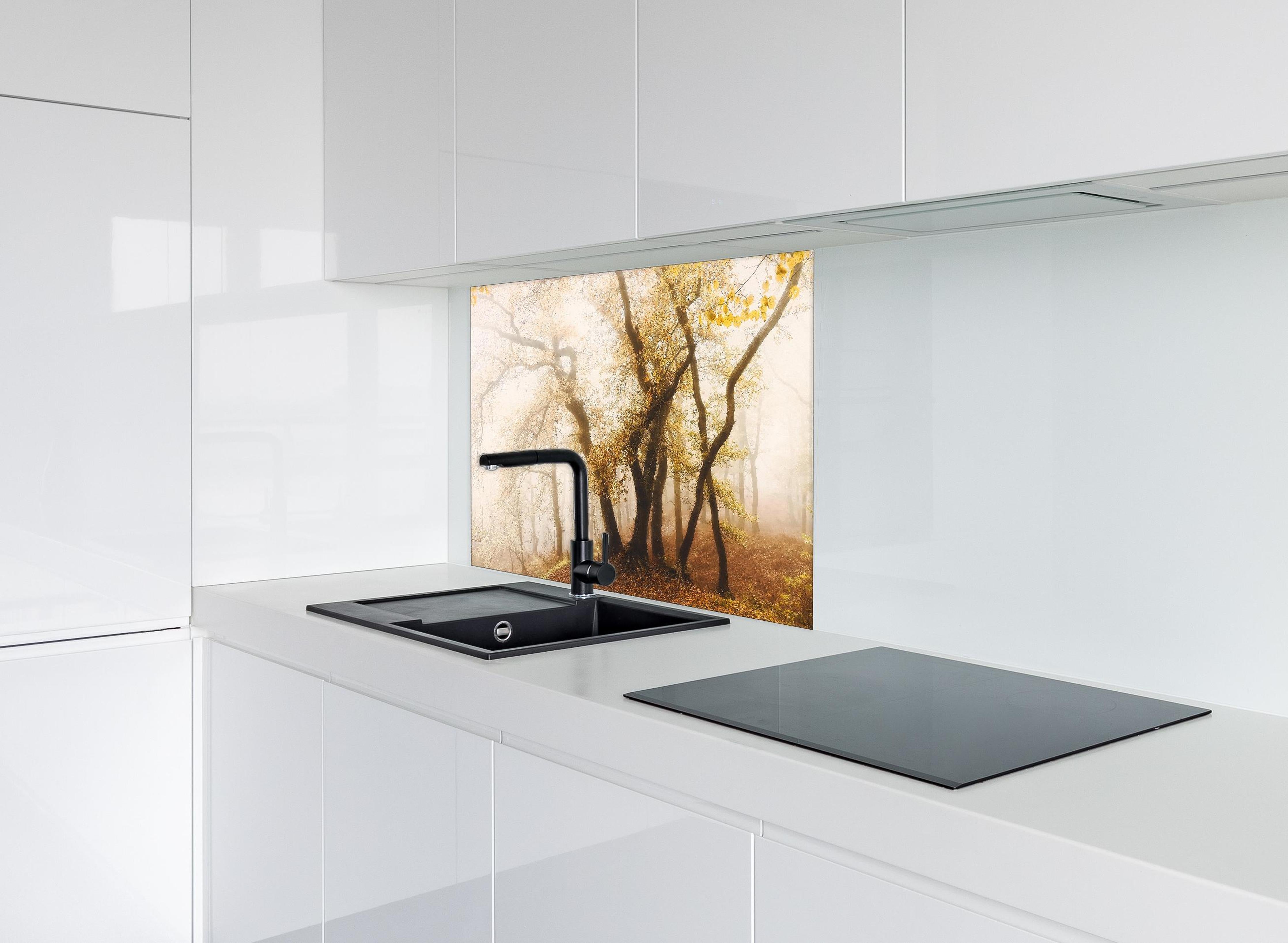 Spritzschutz - Nebeliger Wald im Herbst hinter einem Cerankochfeld zwischen Holz-Kochutensilien