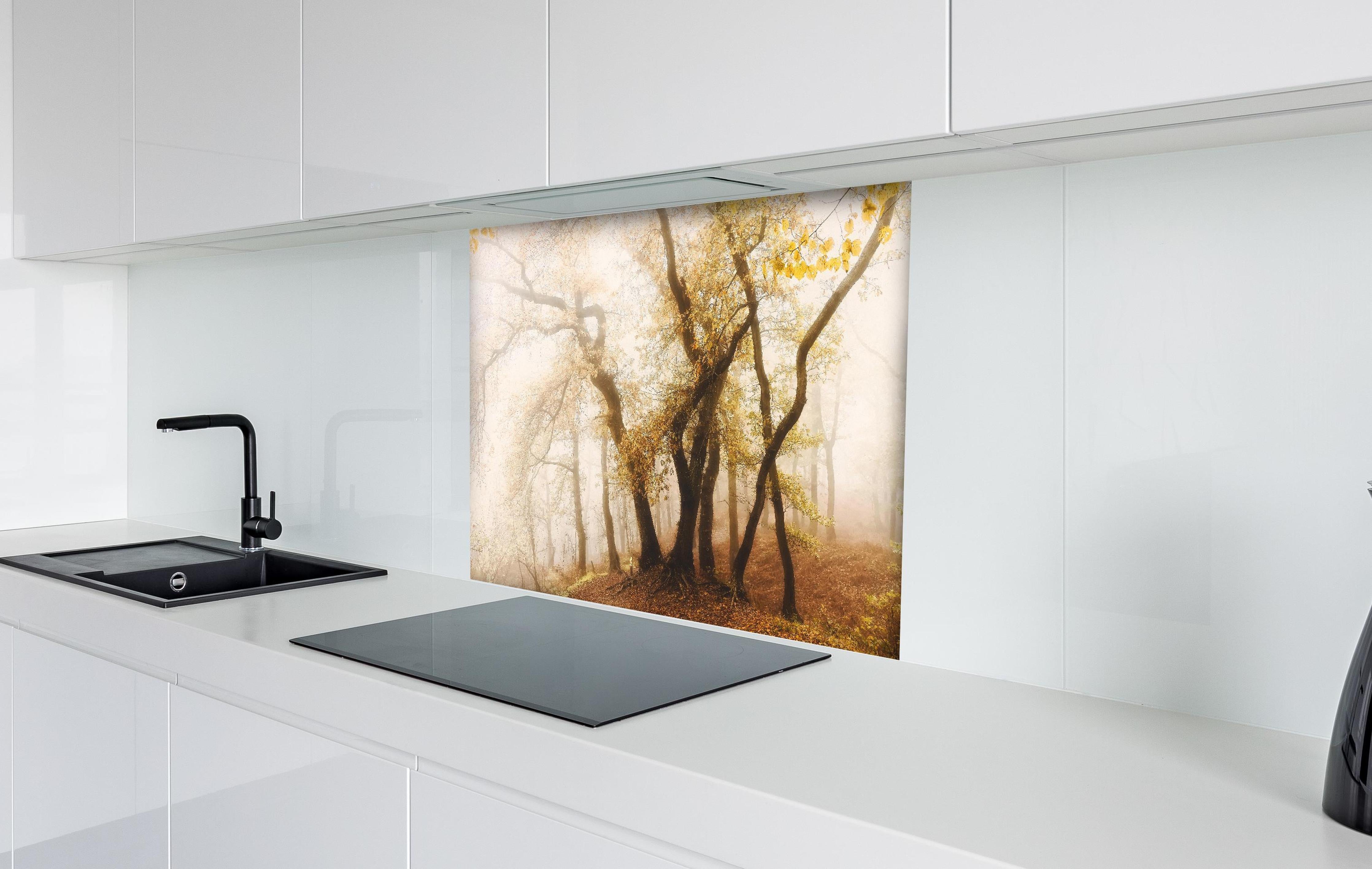 Spritzschutz - Nebeliger Wald im Herbst hinter einem Cerankochfeld zwischen Holz-Kochutensilien