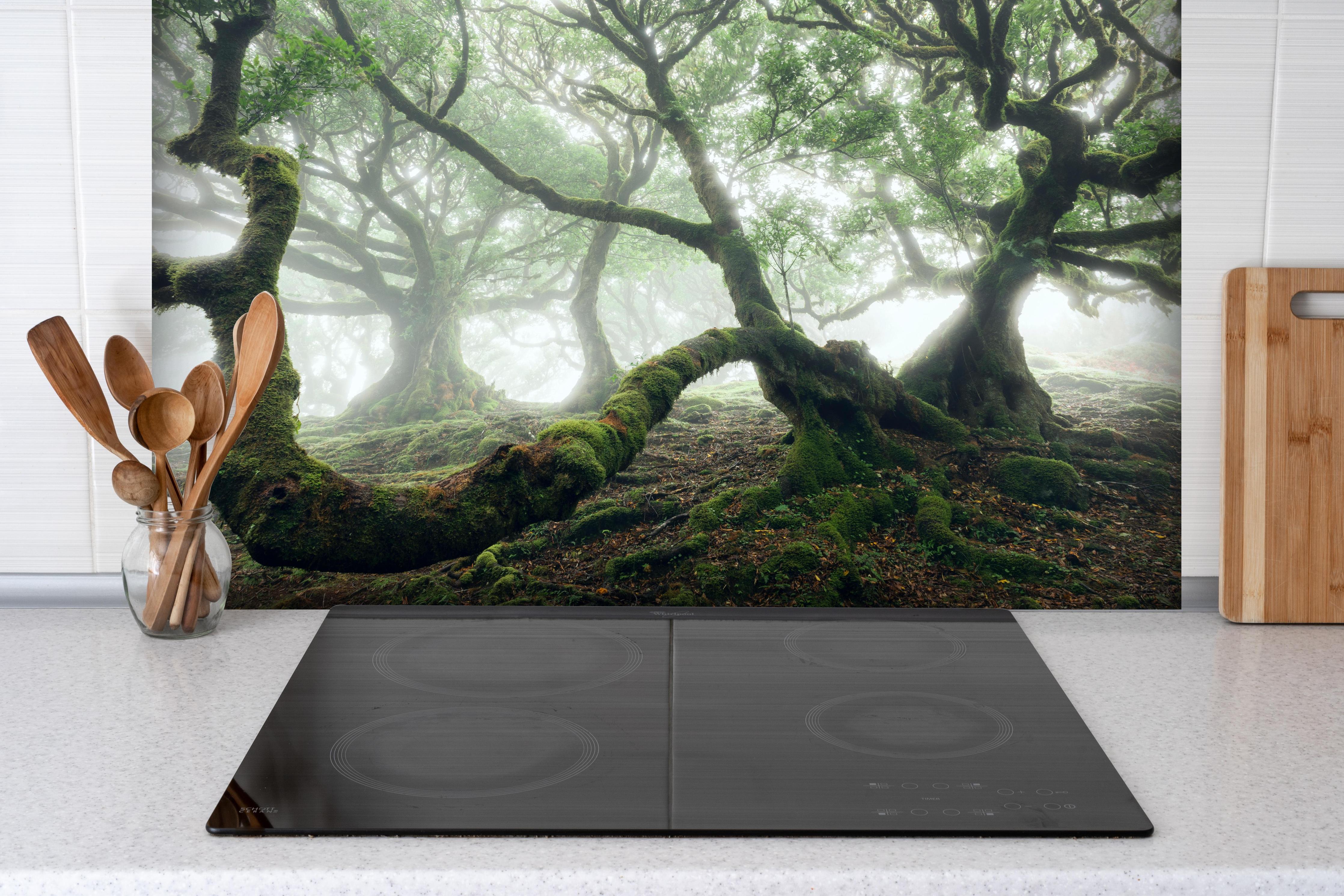 Spritzschutz - Nebeliger, mystischer Wald hinter einem Cerankochfeld zwischen Holz-Kochutensilien
