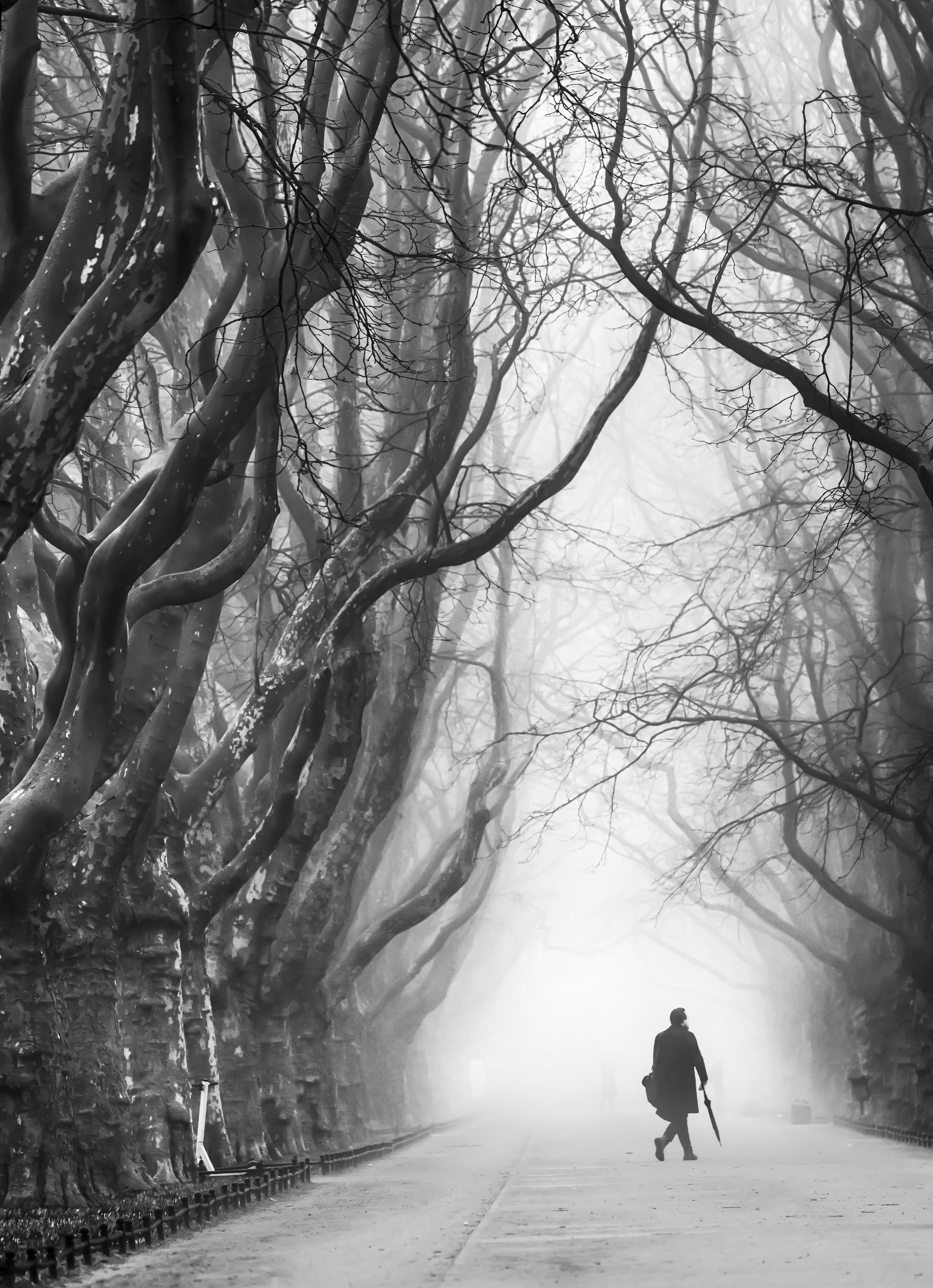 Spritzschutz-Nebliger Spaziergang