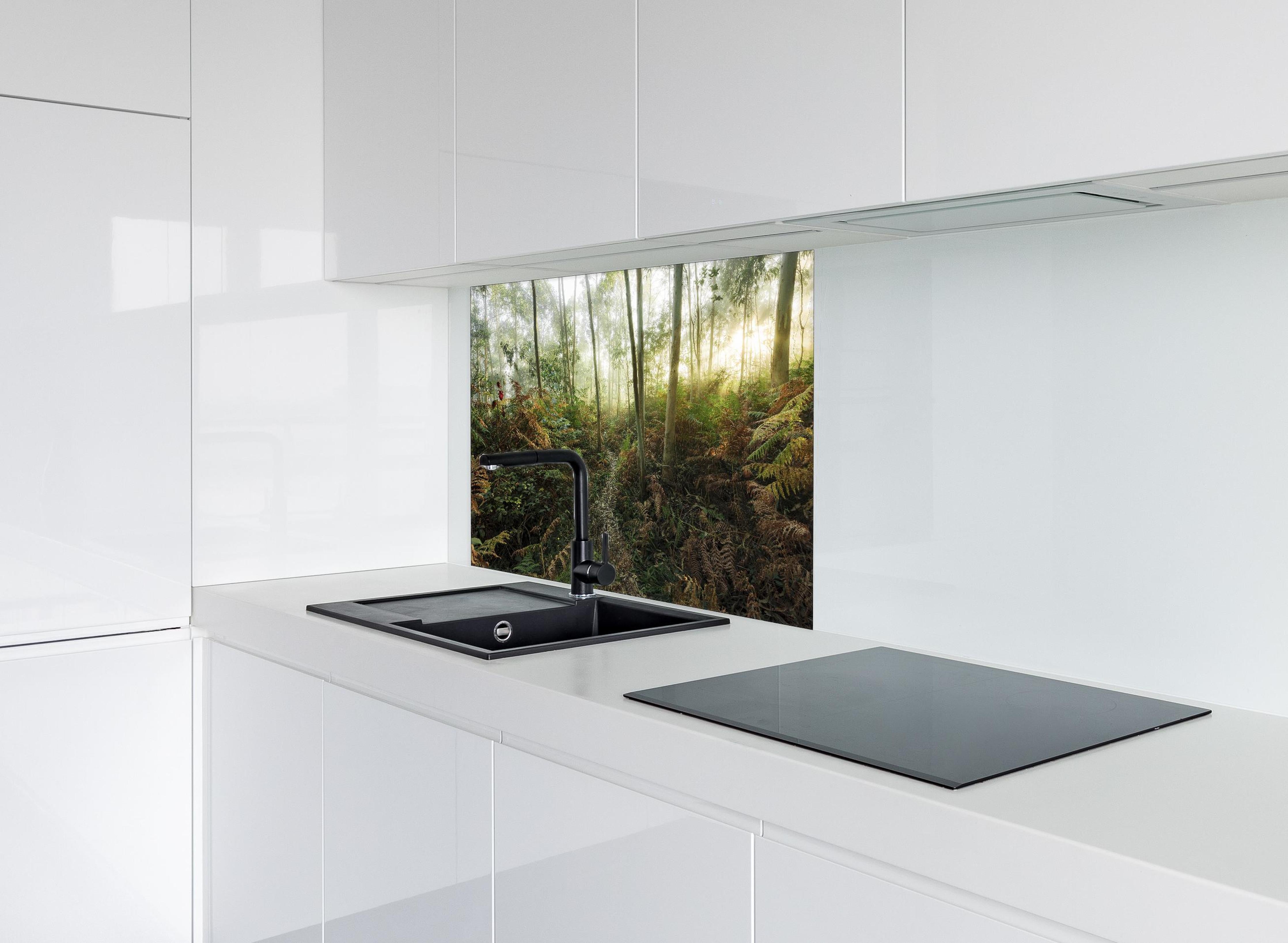 Spritzschutz - Nebliger Wald - Spanien hinter einem Cerankochfeld zwischen Holz-Kochutensilien