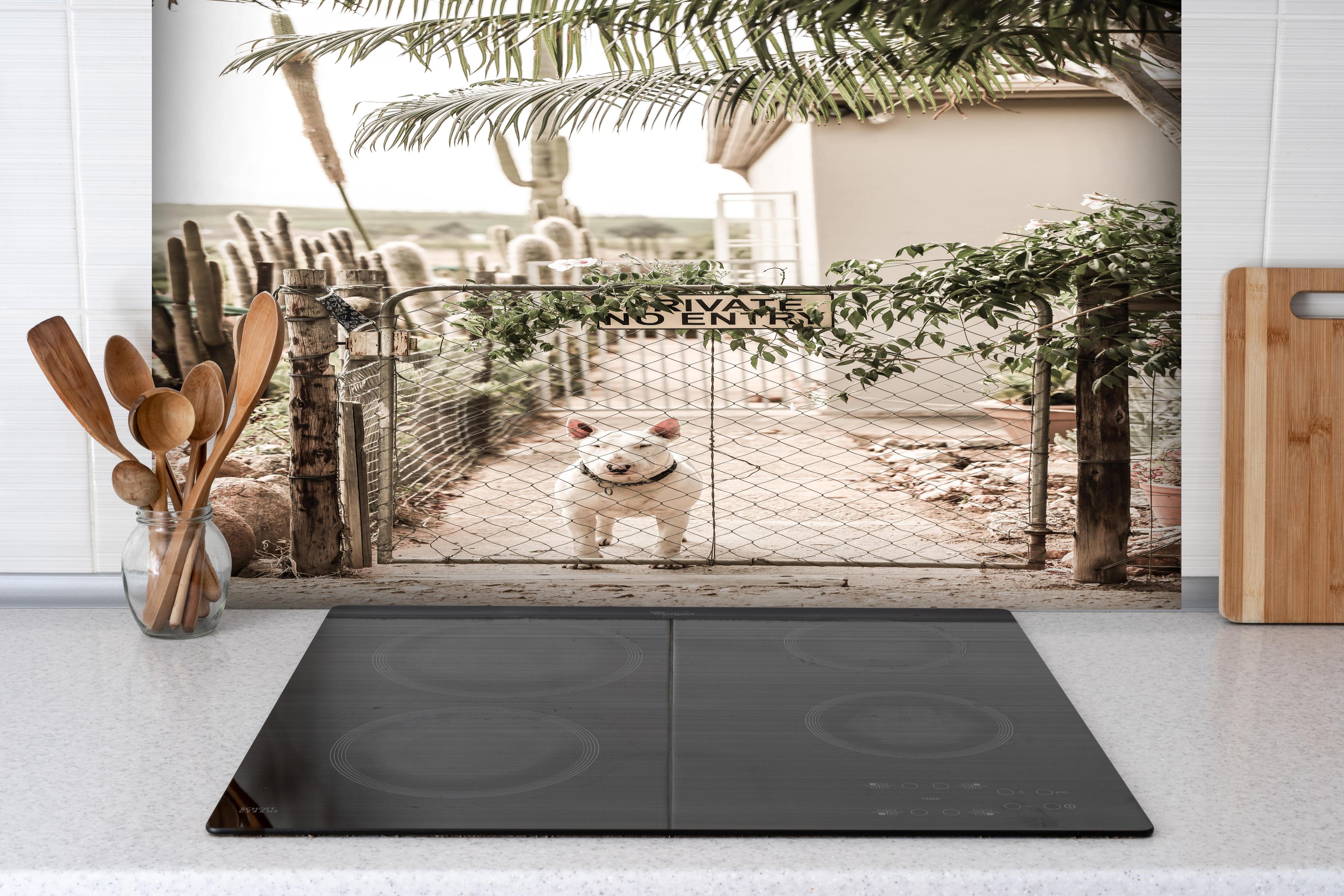 Spritzschutz - No Entry - älterlicher Eingang hinter einem Cerankochfeld zwischen Holz-Kochutensilien