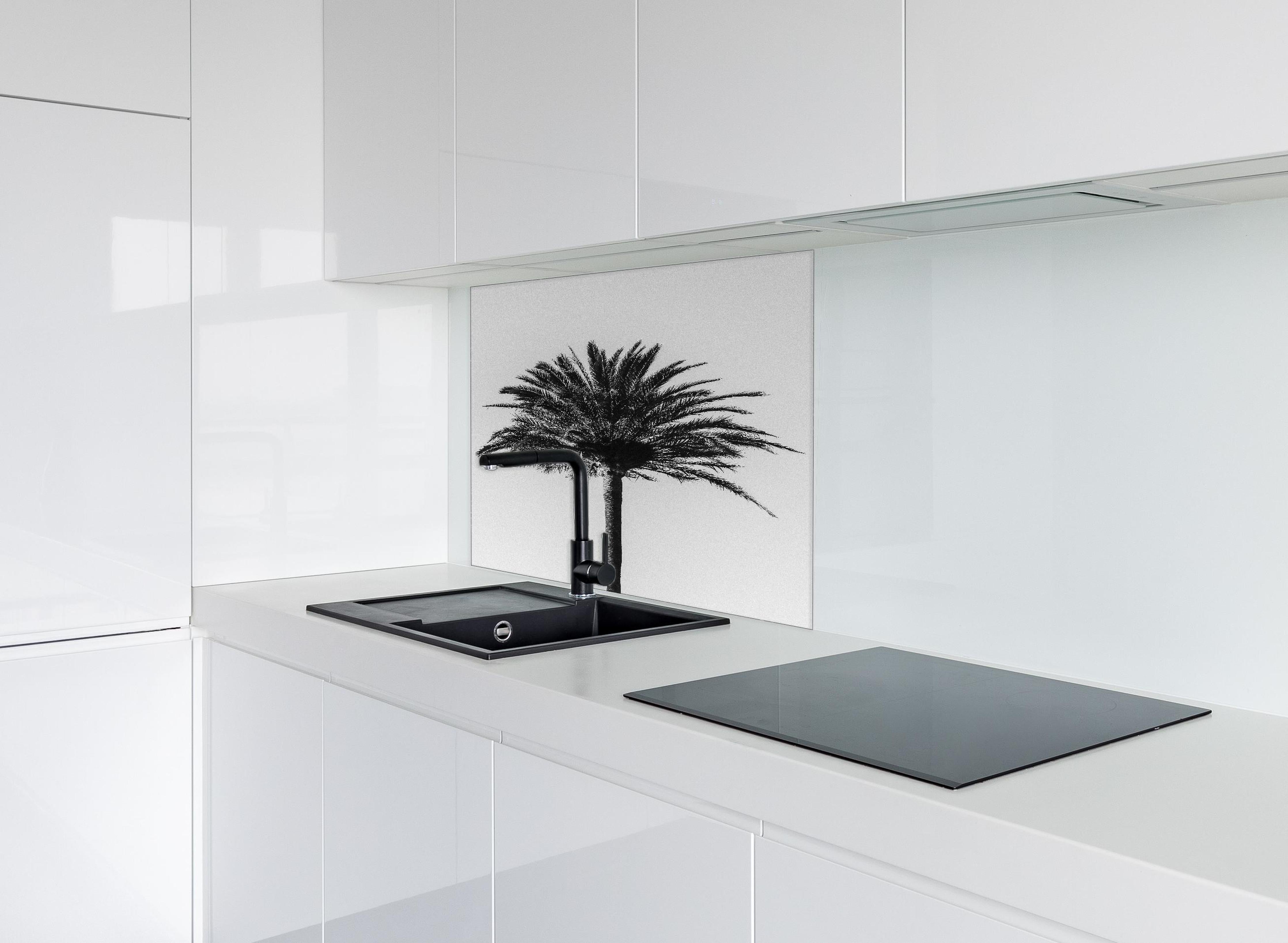 Spritzschutz - Palme - Schwarz-weiß hinter einem Cerankochfeld zwischen Holz-Kochutensilien