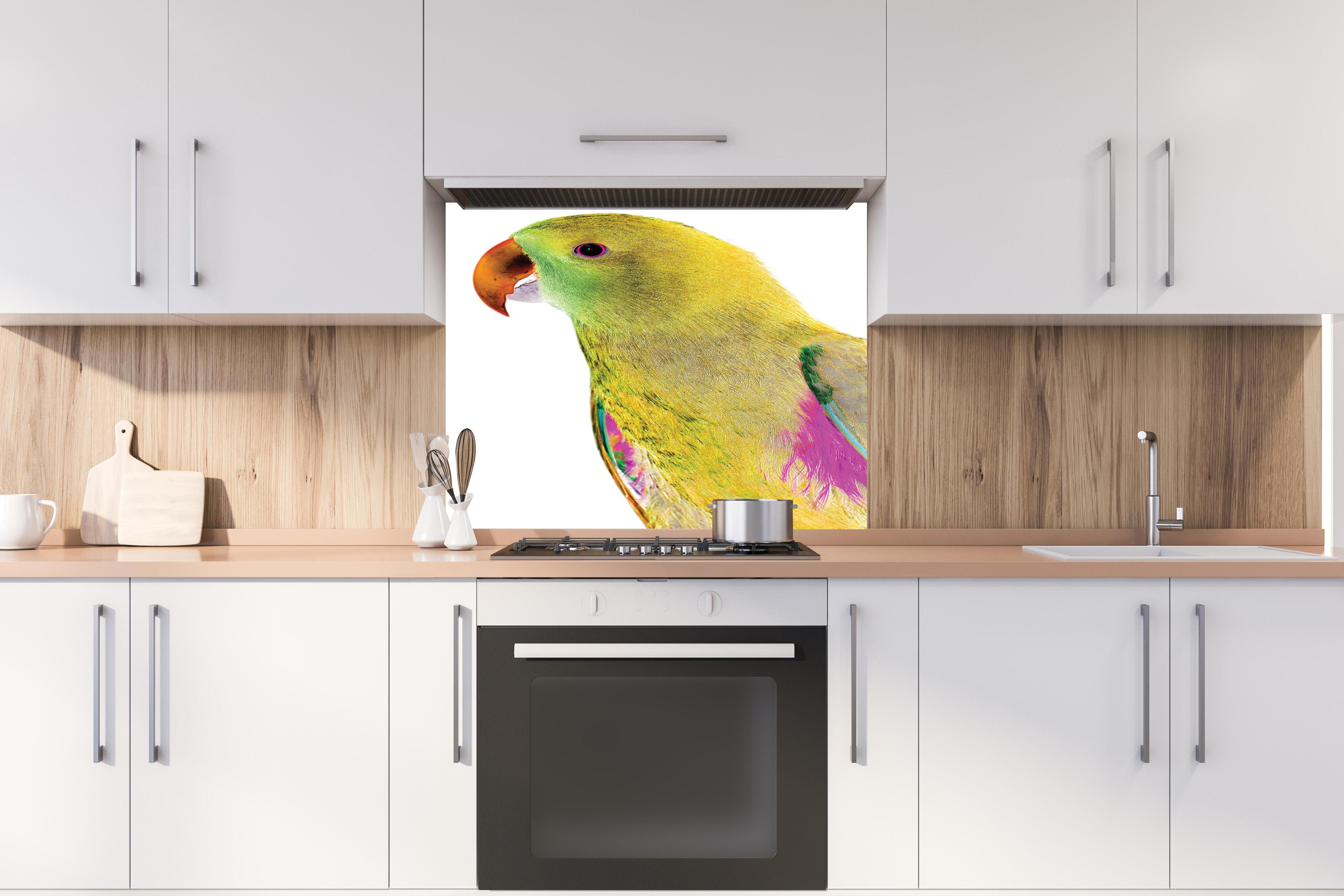 Spritzschutz - Papagei - Nahaufnahme hinter einem Cerankochfeld zwischen Holz-Kochutensilien